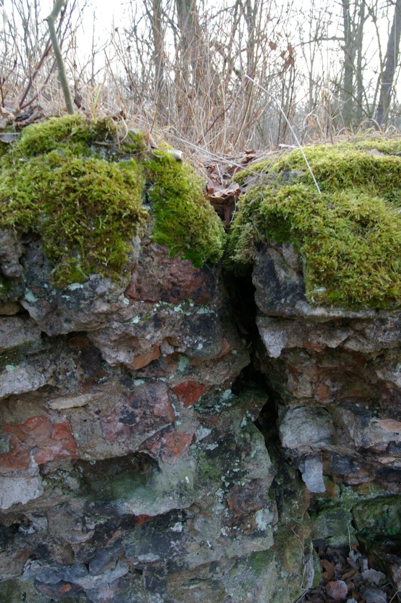 Mydlovary - GALERIE Labe (5/6)