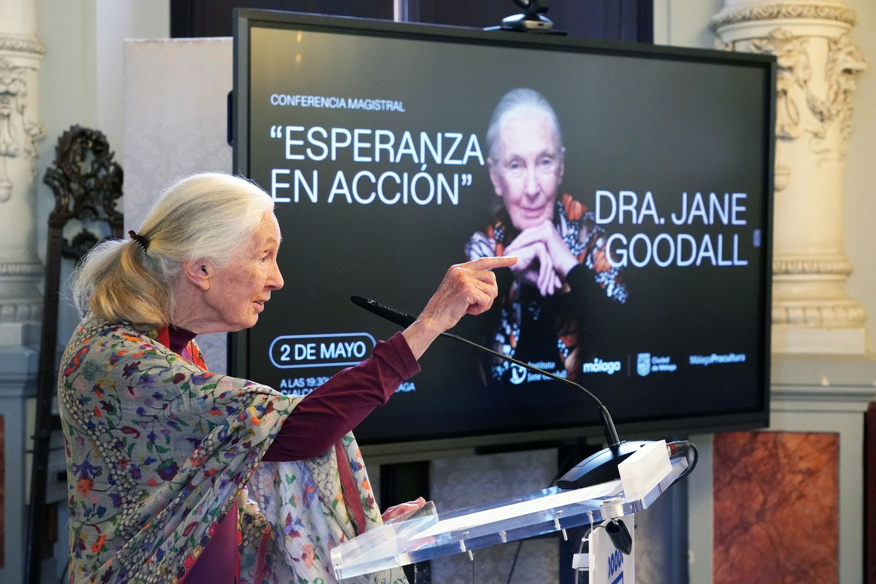Jane Goodallová - Jane Goodallová (3/5)