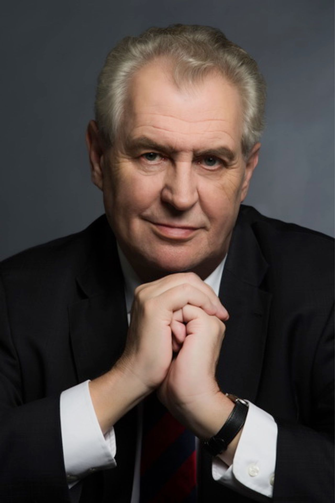 Oficiální portrét Miloše Zemana - GALERIE: Karikatury na oficiální Zemanův portrét (4/4)