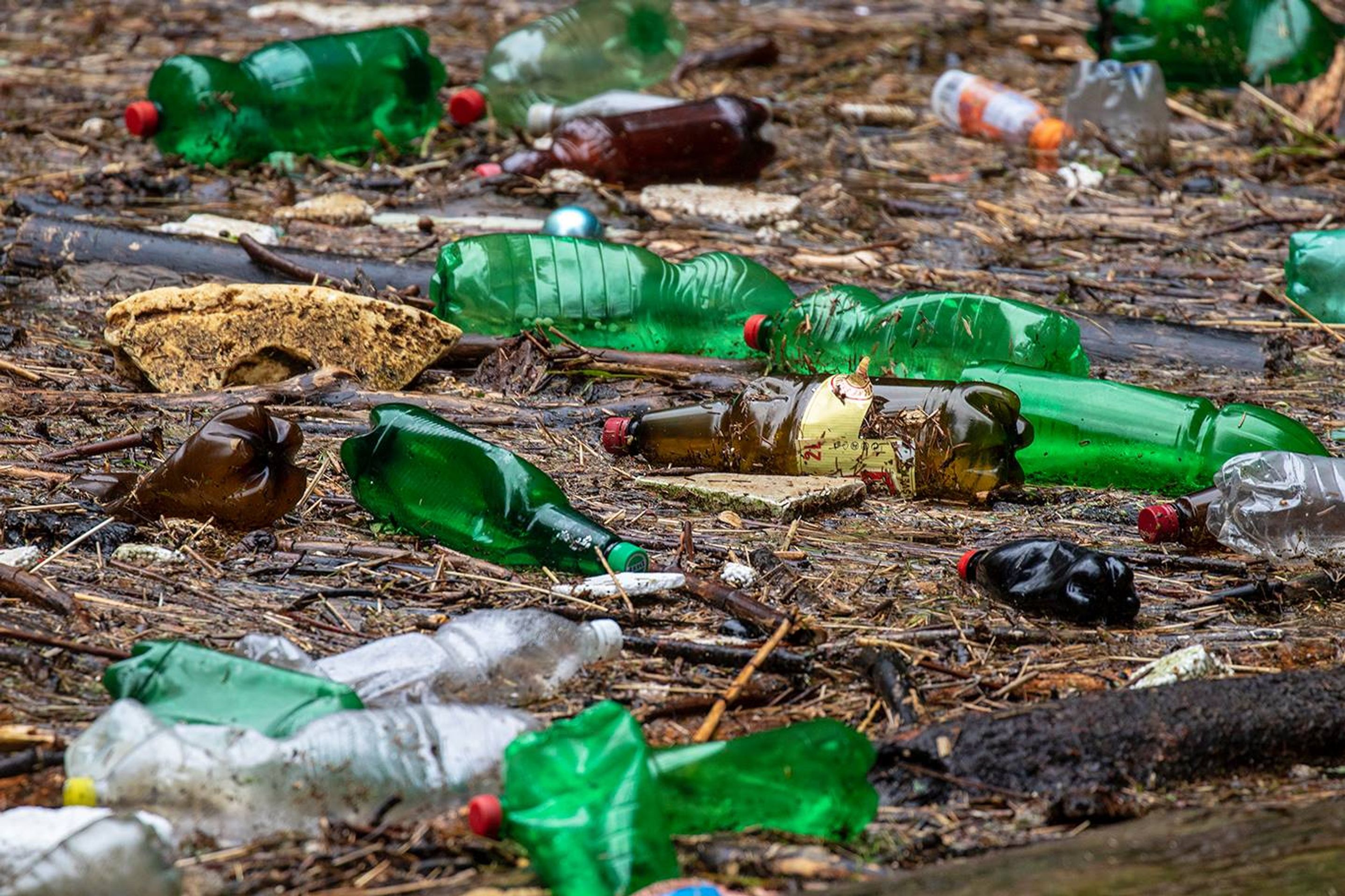 Plasty v NP České Švýcarsko - GALERIE: Záplava plastů v Národním parku České Švýcarsko (3/8)