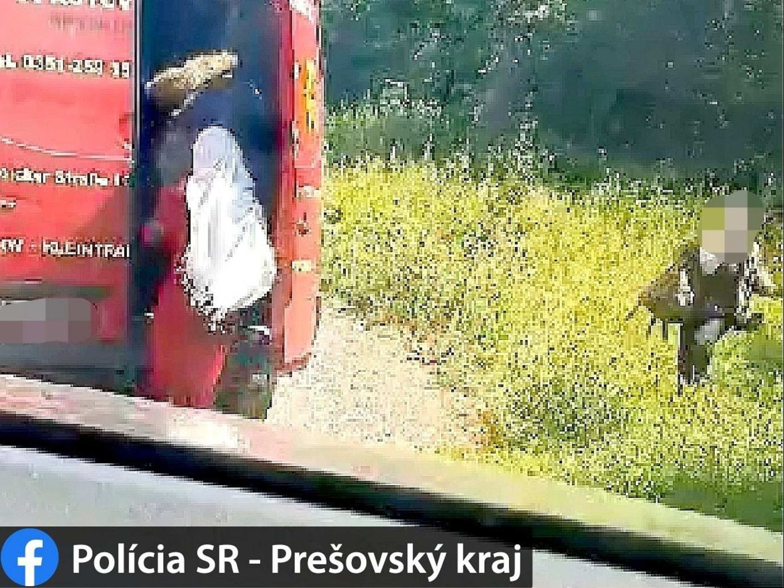 Migranti na Slovensku - 3 - GALERIE: Policie na Slovensku zadržela 28 migrantů (1/3)