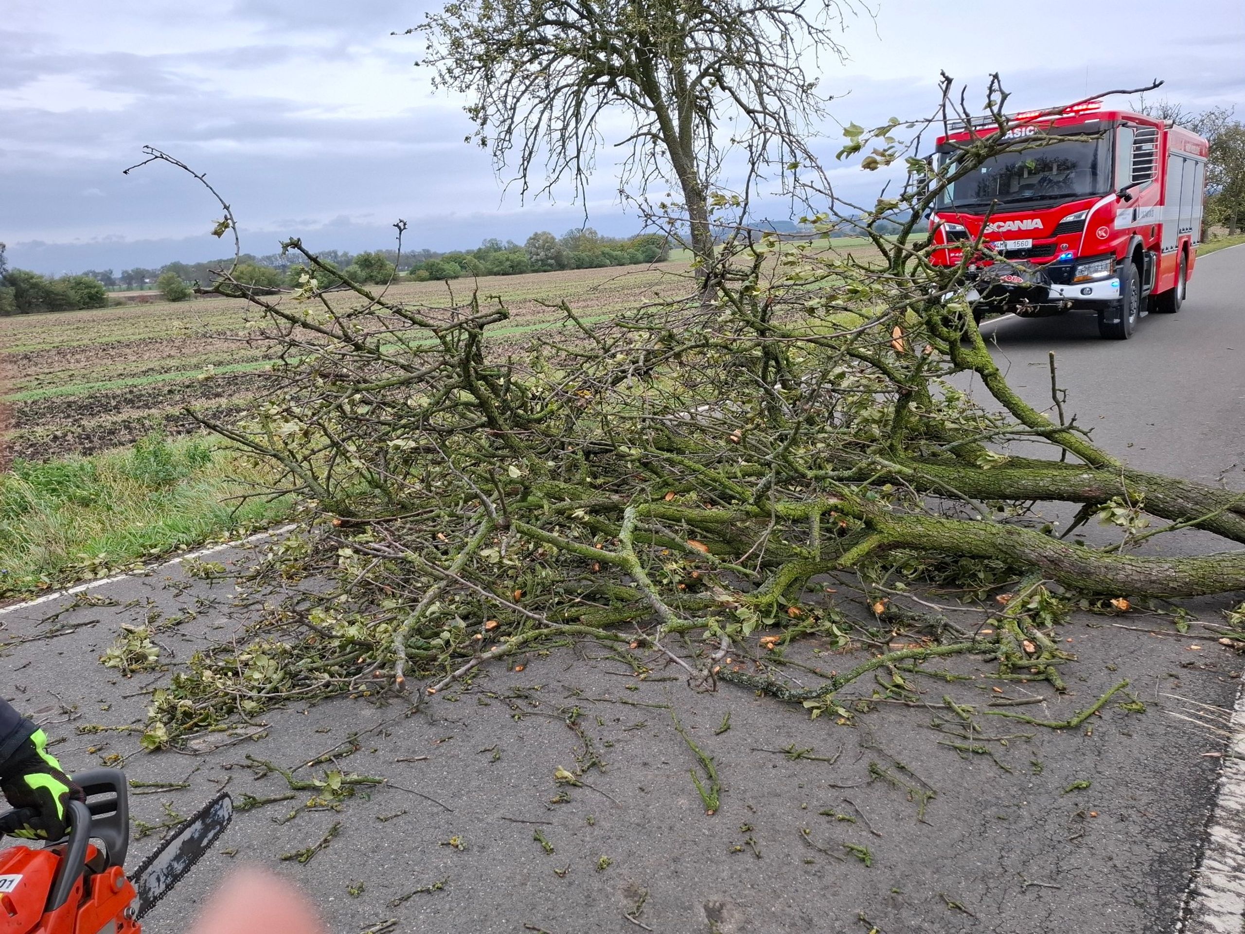 Následky silného větru v Olomouckém kraji - Následky silného větru (2/8)