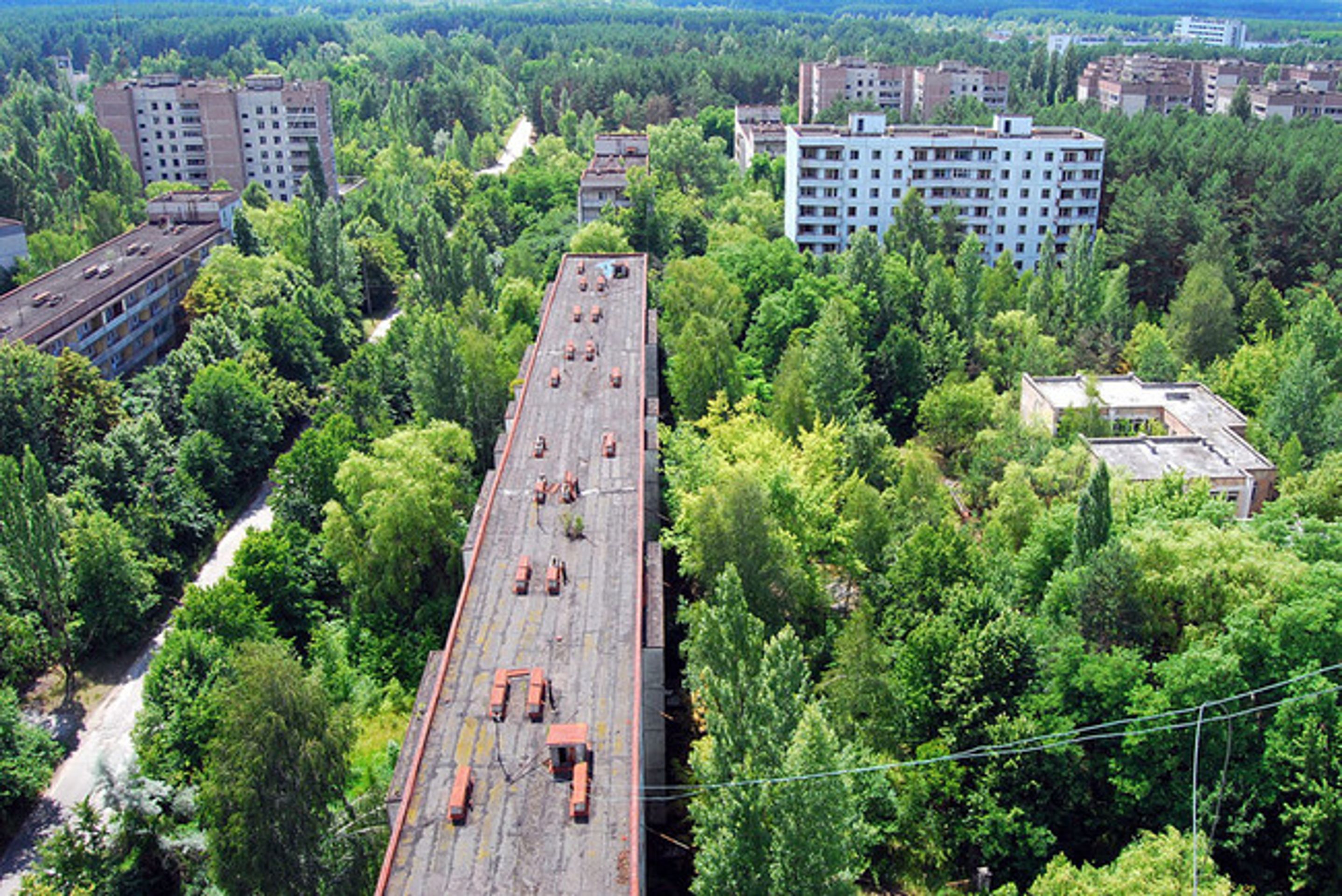 Příroda vítězí nad civilizací - 18 - Galerie: Příroda vítězí nad civilizací (18/20)