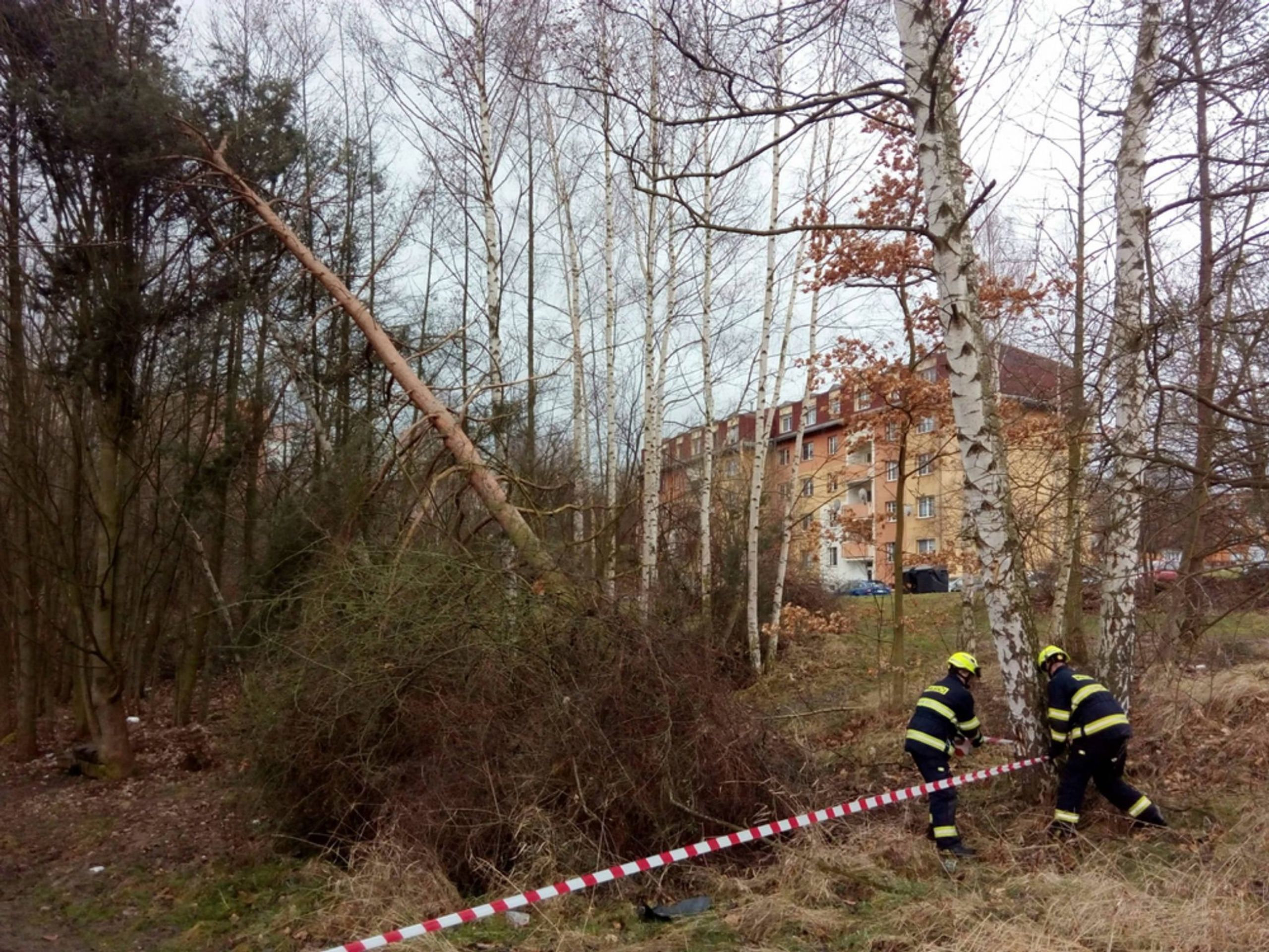 Zásahy hasičů v Karlovarském kraji kvůli silnému větru - 3 - GALERIE: V Česku udeřil silný vítr (4/26)