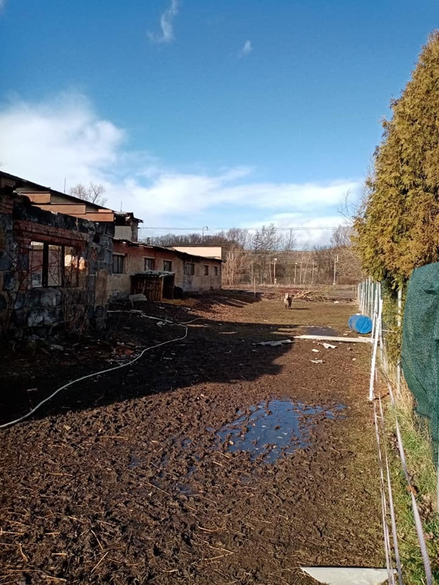 Následky silného větru ve stáji Řehlovice - 12 - GALERIE: Následky silného větru ve stáji Řehlovice (12/12)