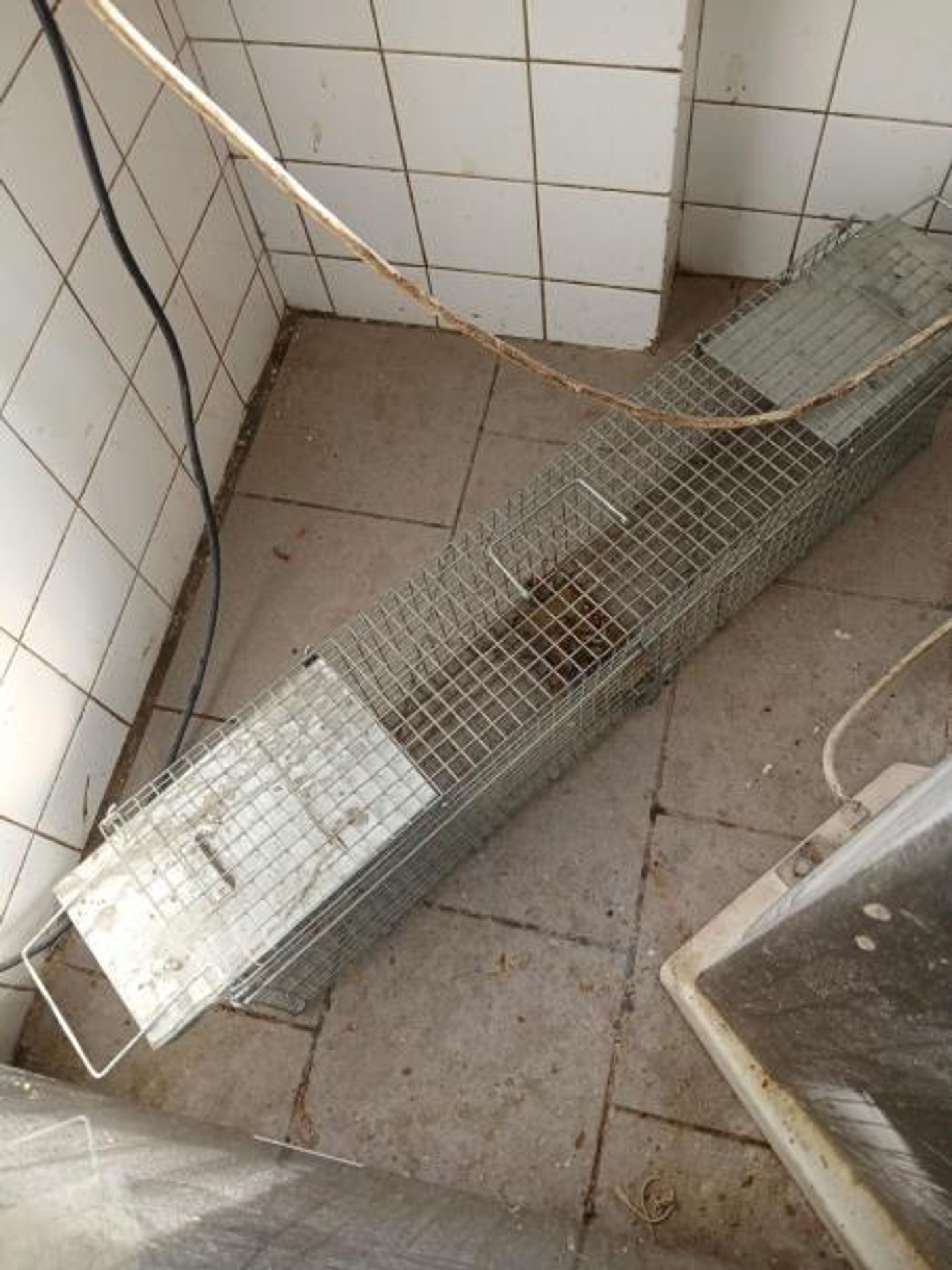 Restaurace u Tří bříz, Prostějov (2) - Provozovny s vážnými hygienickými nedostatky (18/70)