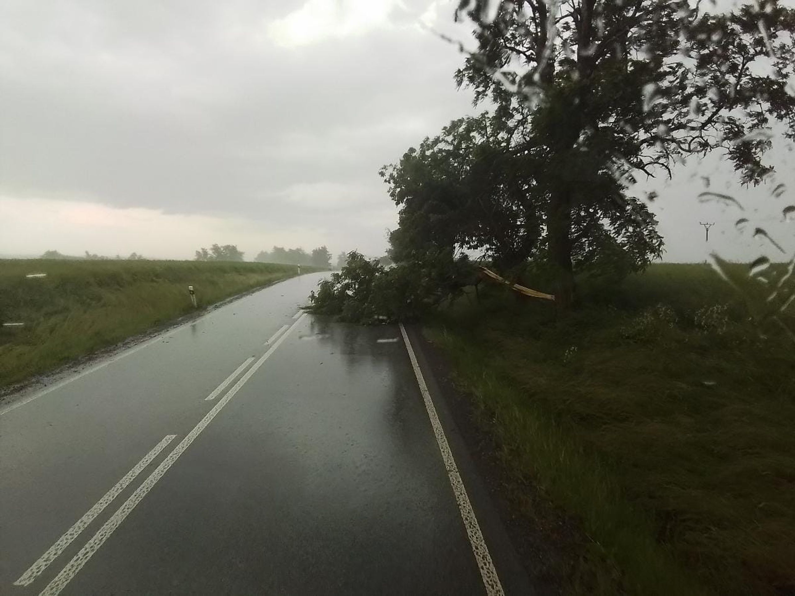 Bouřky na Vysočině - Následky bouřky a silného větru (8/21)