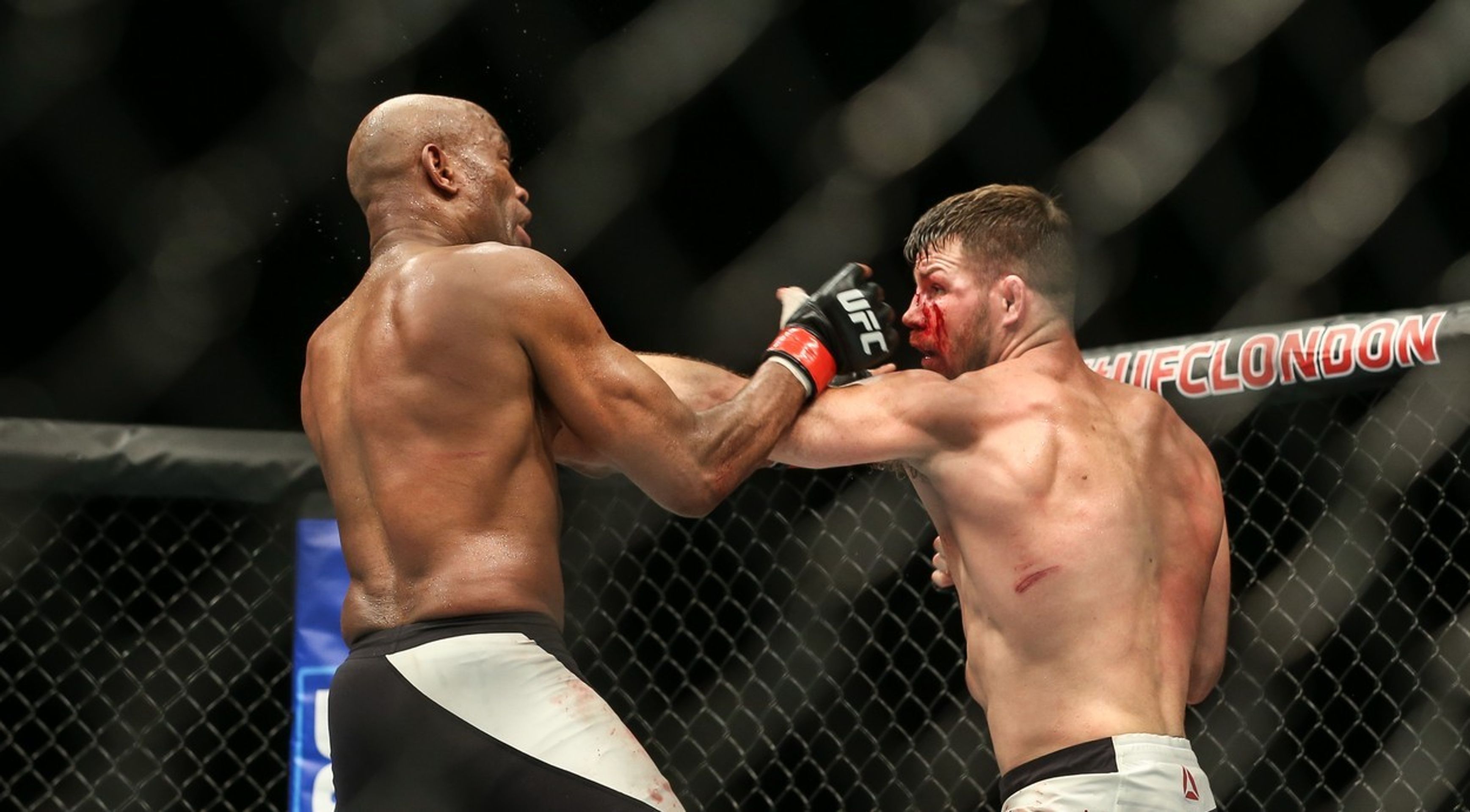 Anderson Silva vs. Michael Bisping - 10 - GALERIE: Anderson Silva vs. Michael Bisping (6/10)