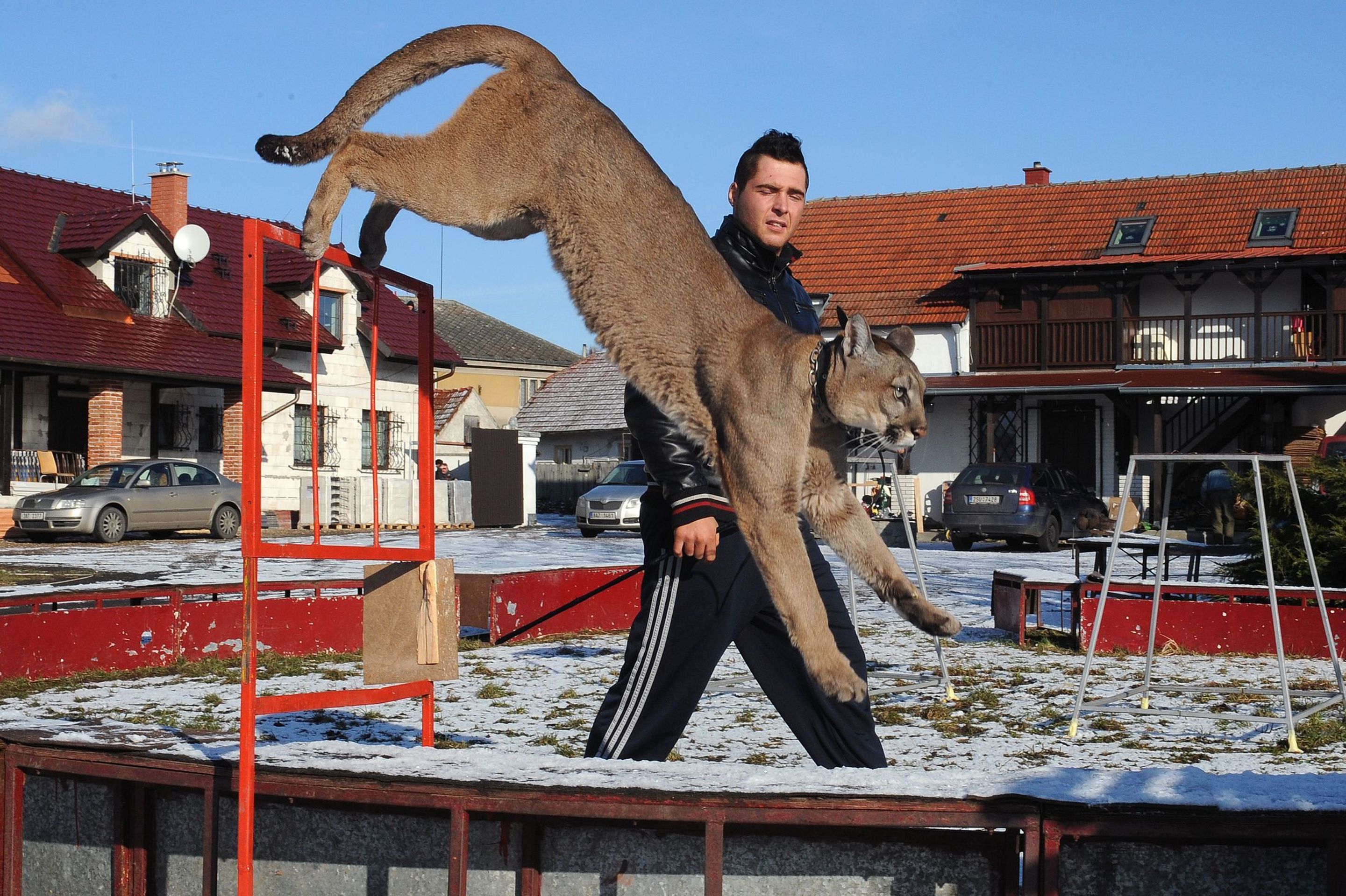 Cirkus Jo - Joo v zimě - 6 - GALERIE: Na zimovišti cirkusus Jo - Joo (5/23)