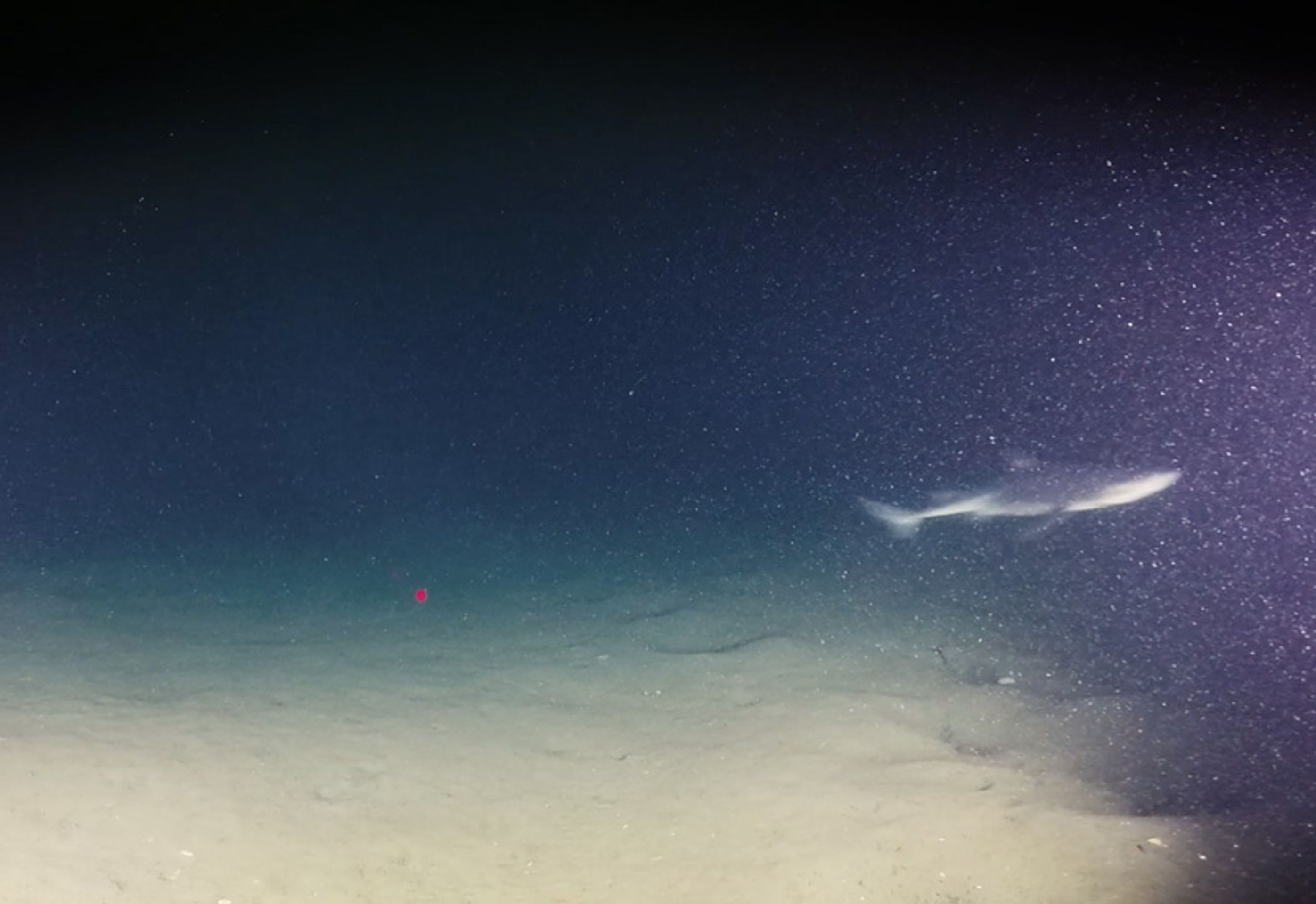Expedice k vraku Andrea Doria - GALERIE: Úspěšný ponor týmu OceanGate k vraku Andrea Doria (8/15)
