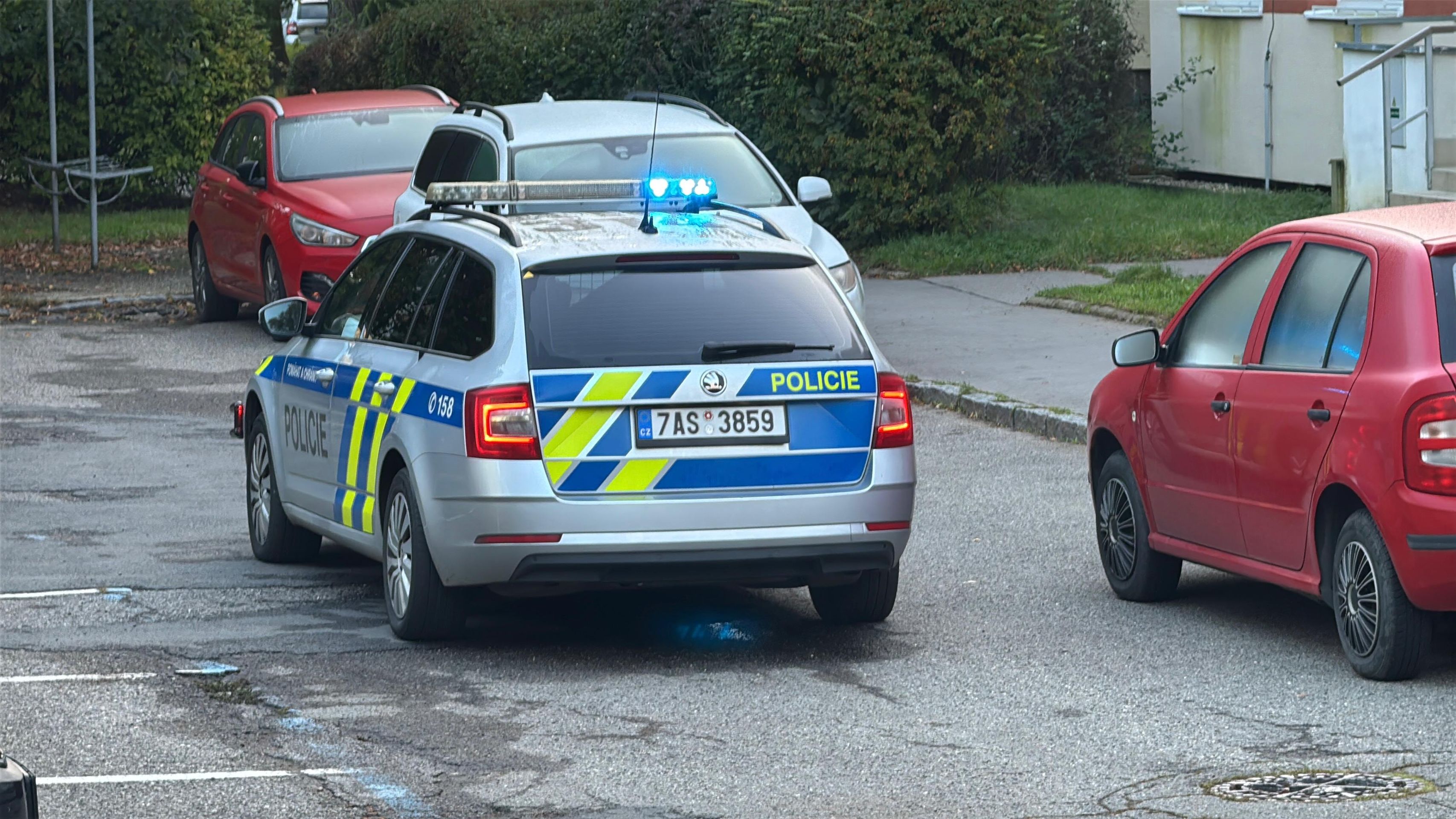 V Praze utekli majiteli agresivní rotvajleři - Útok rotvajlerů v Praze (6/11)