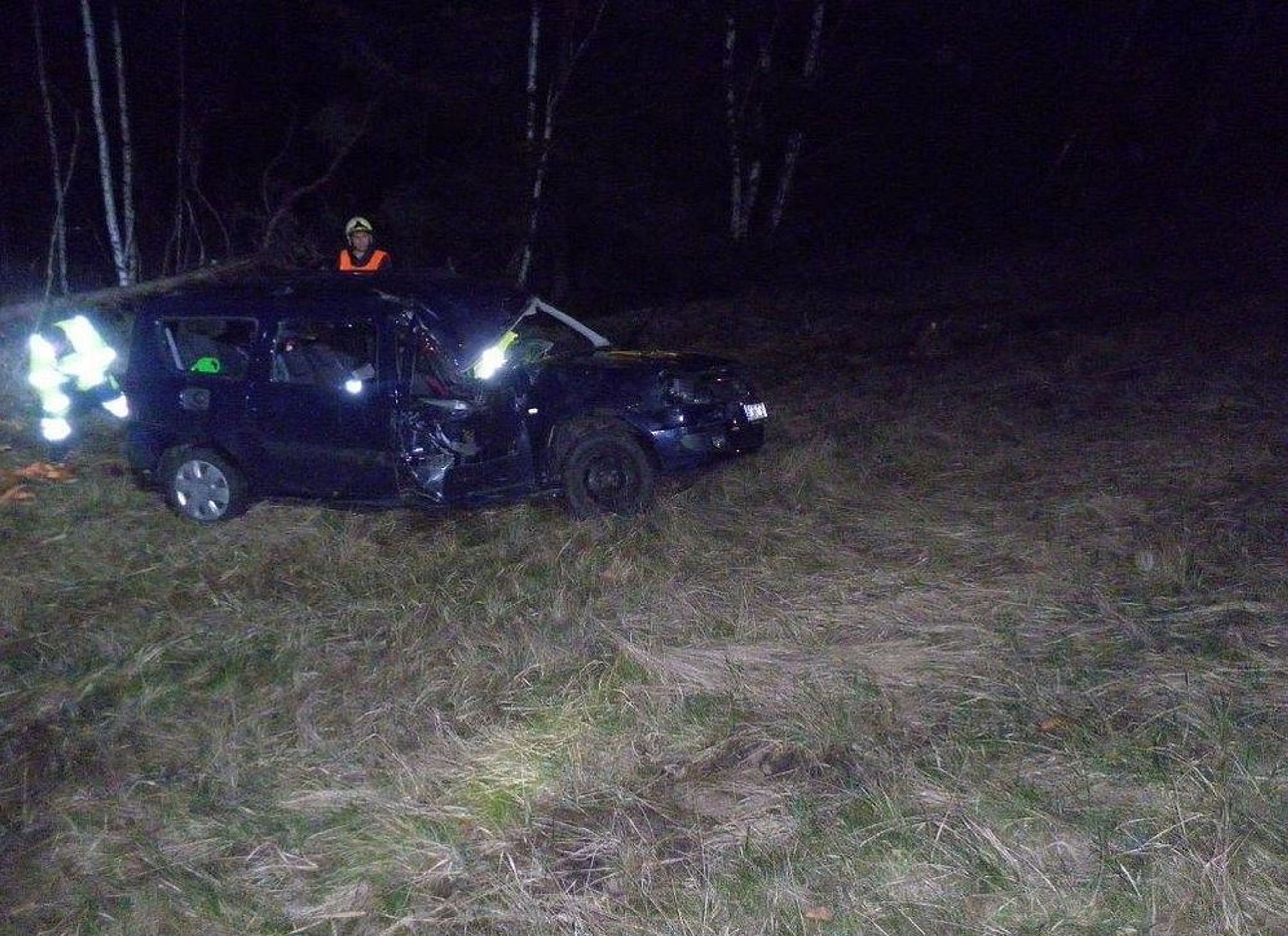 Auto vyletělo z dálnice do lesa - GALERIE: Auto v lese (5/6)