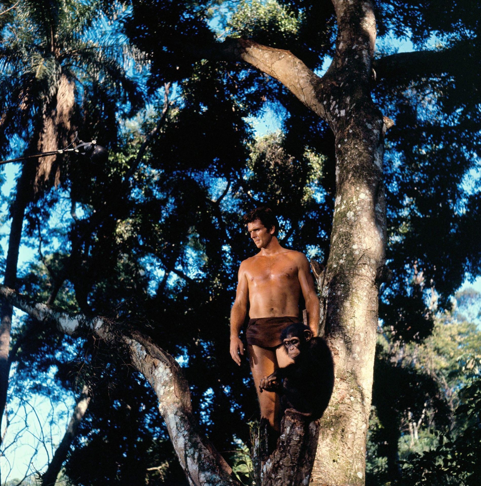 Ron Ely jako Tarzan, 1966 (2) - Ron Ely (4/5)