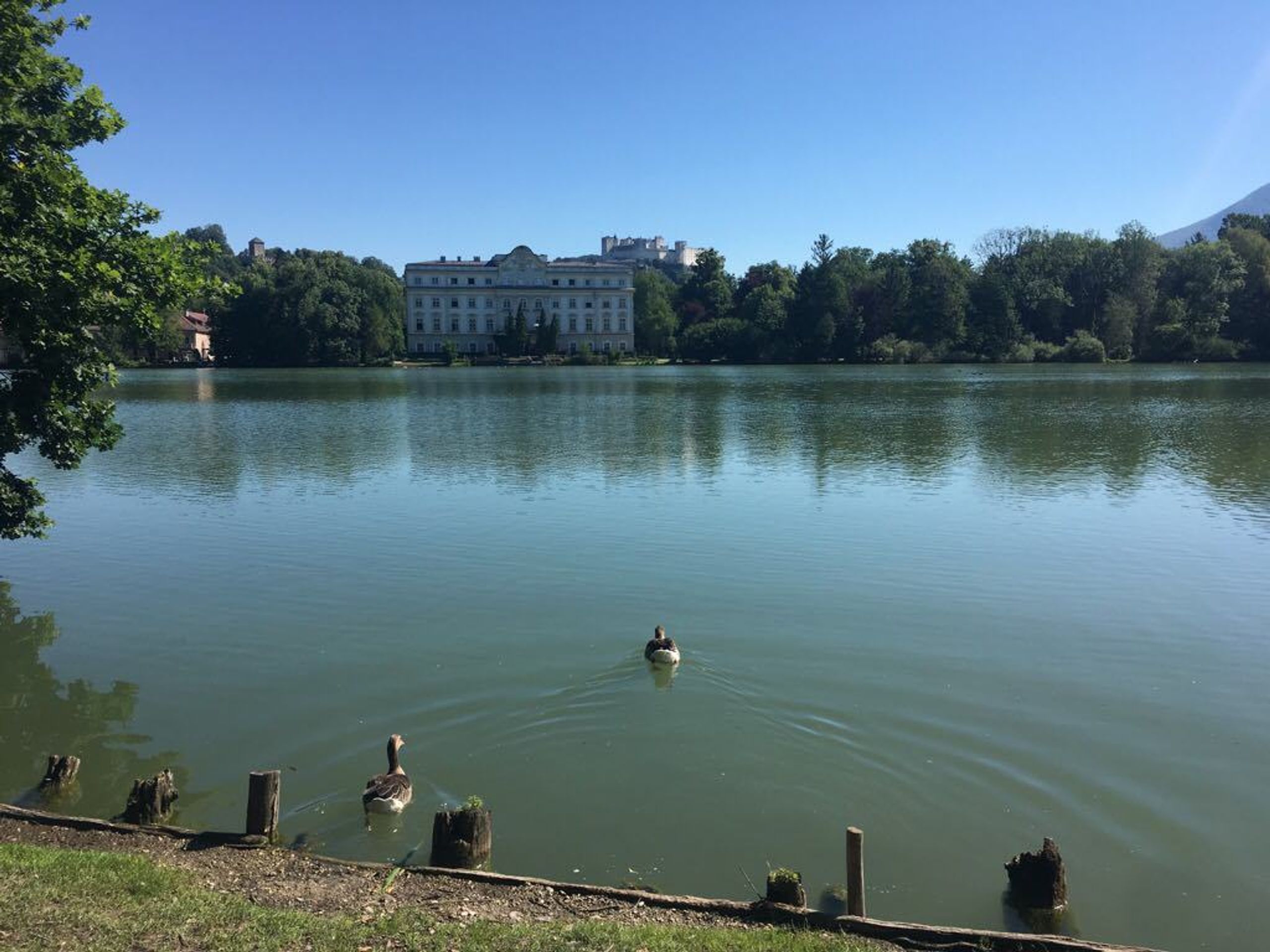Salzburg - 9 - GALERIE: Salzburg (9/12)