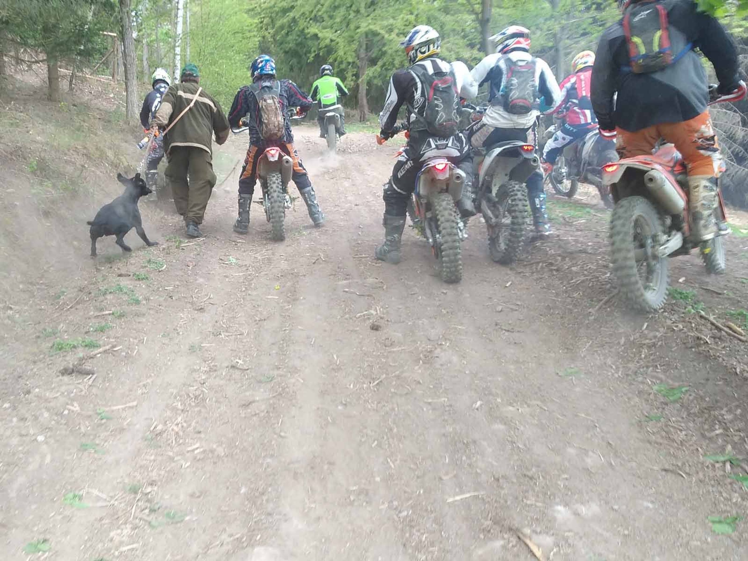 Skupina motorkářů napadla v lese poblíž Sentic lesní dělníky - 3 - GALERIE: Skupina motorkářů napadla v lese poblíž Sentic lesní dělníky (3/5)