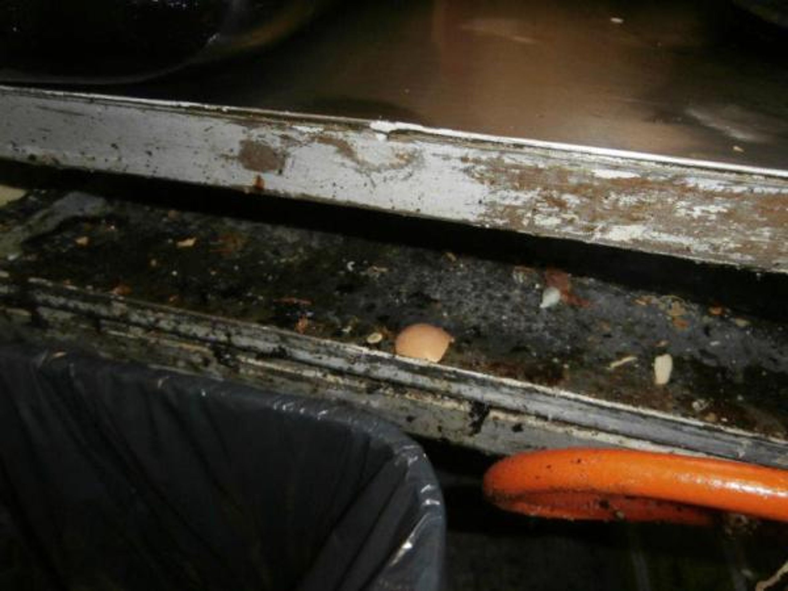 SZPI uzavřela další restauraci a hernu - 11 - FOTOGALERIE: Inspekce uzavřela další nechutné provozovny (11/12)