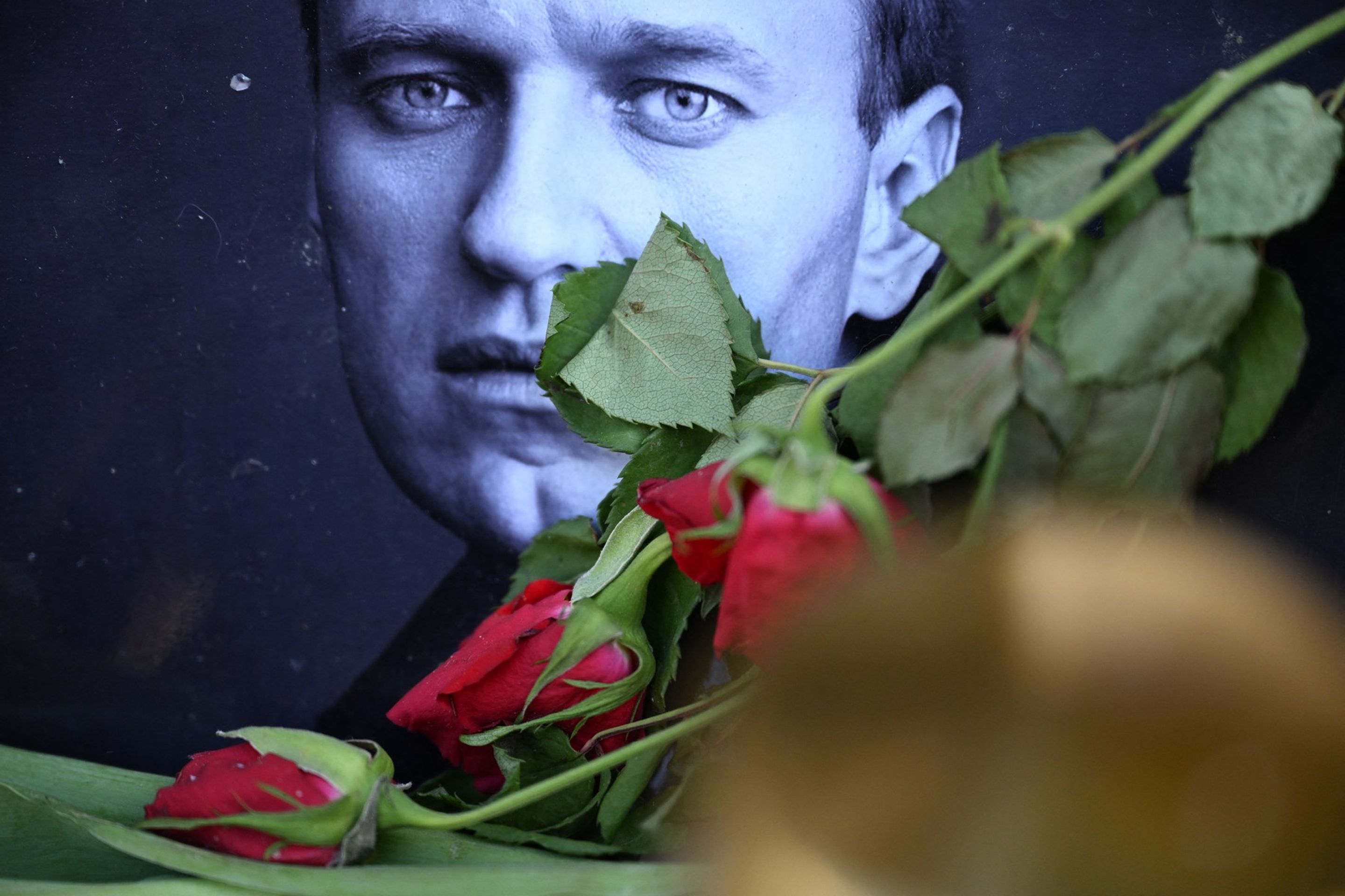 Alexej Navalnyj - Pohřeb Alexeje Navalného (18/18)