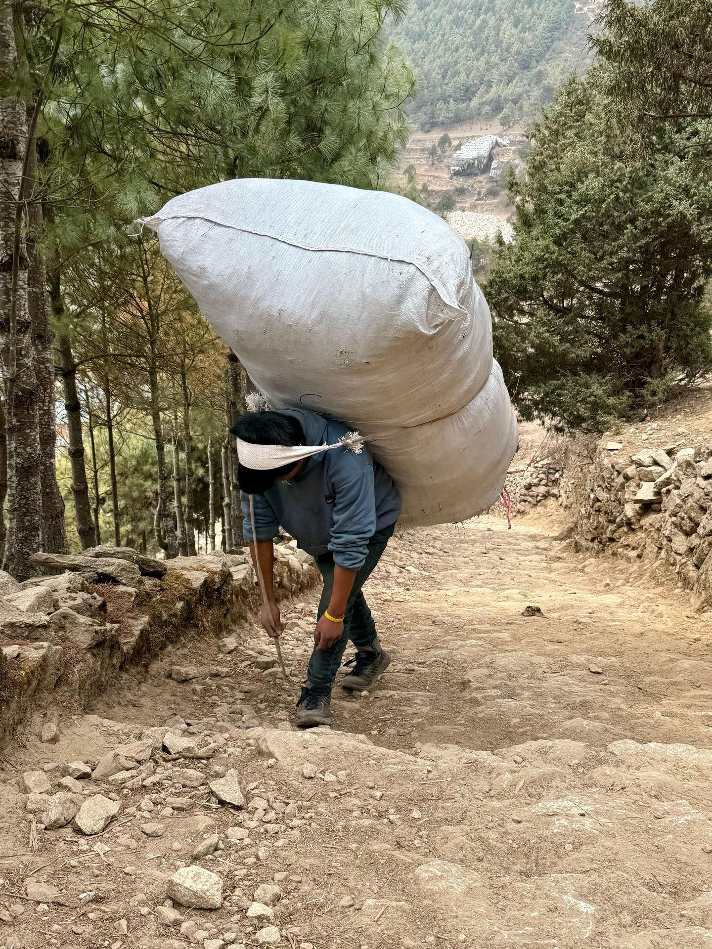 Česká expedice na Mount Everest - Česká expedice na Mount Everest (4/19)