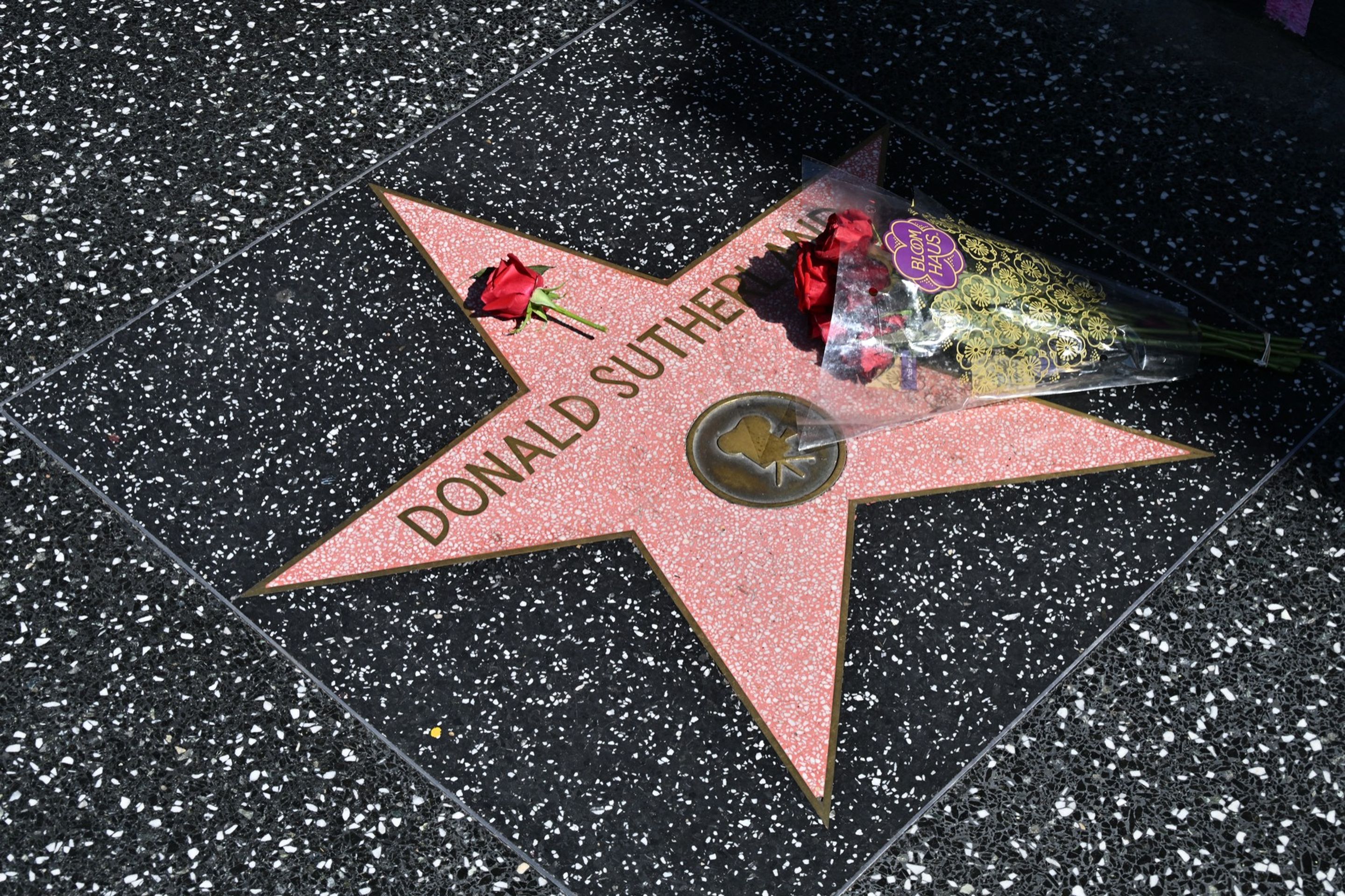 Hvězda Donalda Sutherlanda na chodníku slávy - Donald Sutherland (3/7)