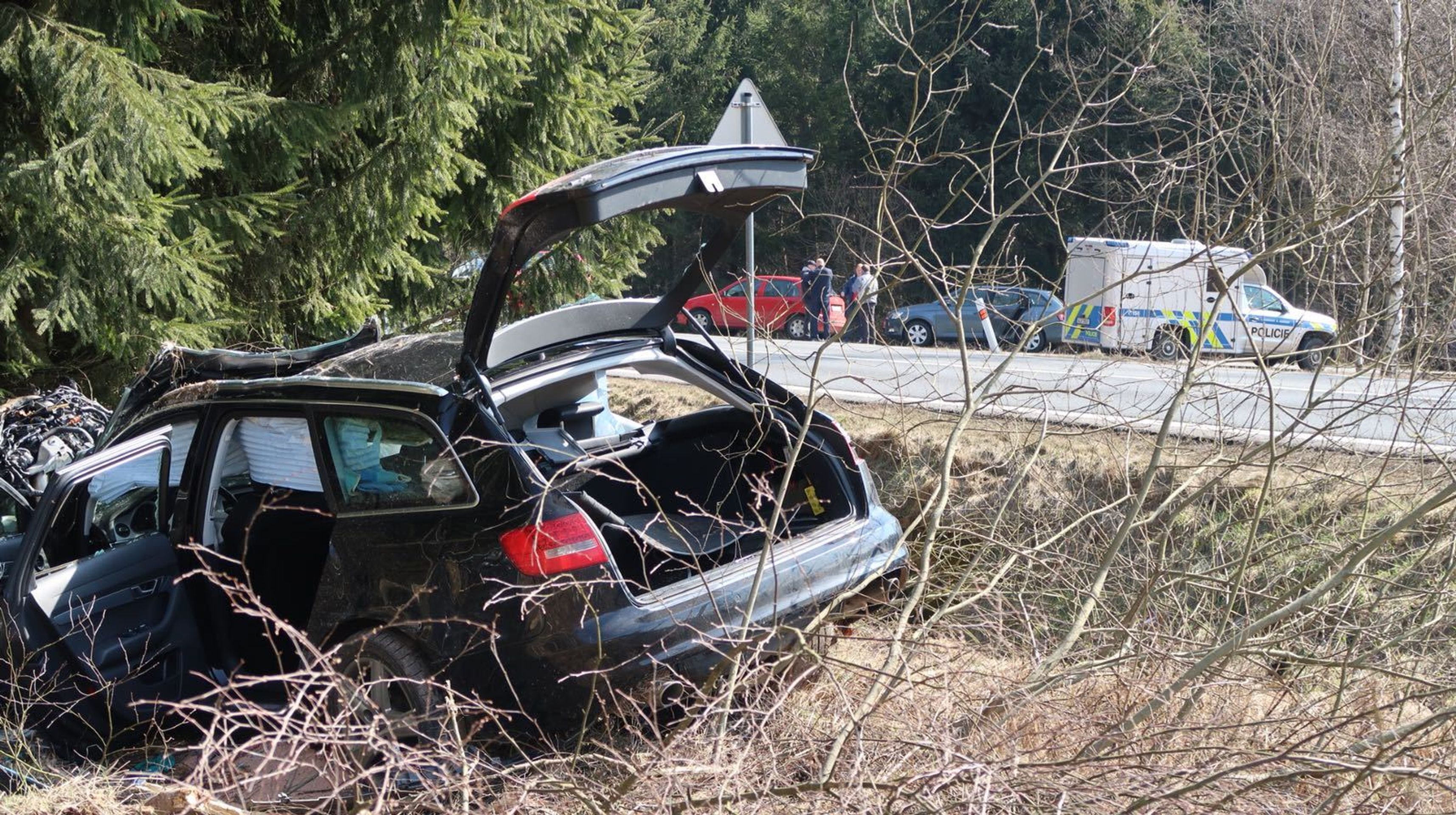Řidič s kradeným vozem skončil po honičce ve stromě - 10 - GALERIE: Řidič s kradeným vozem skončil po honičce ve stromě (2/11)