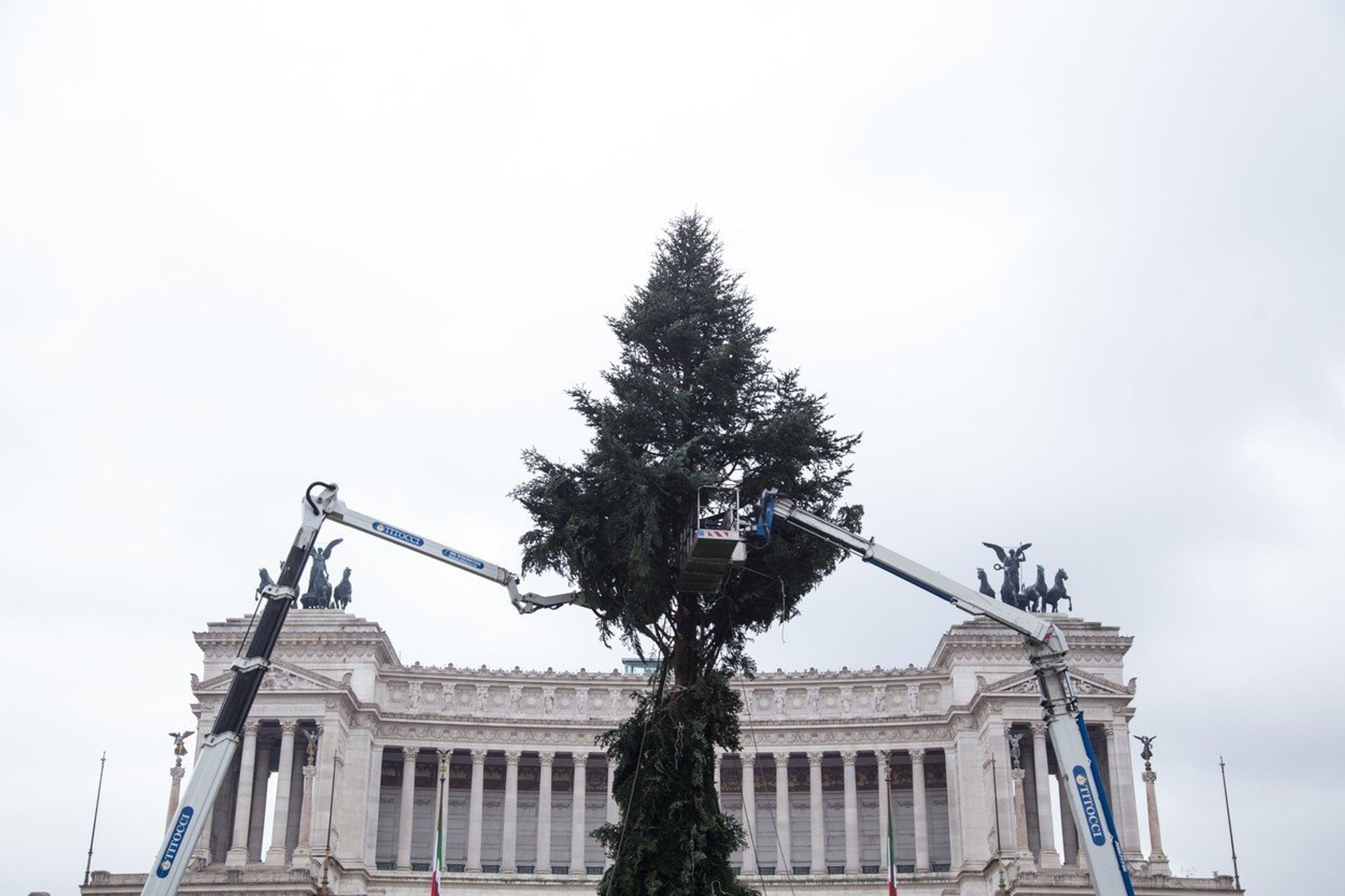 Vánoční strom v Římě - 4 - GALERIE: Vánoční strom v Římě (4/5)