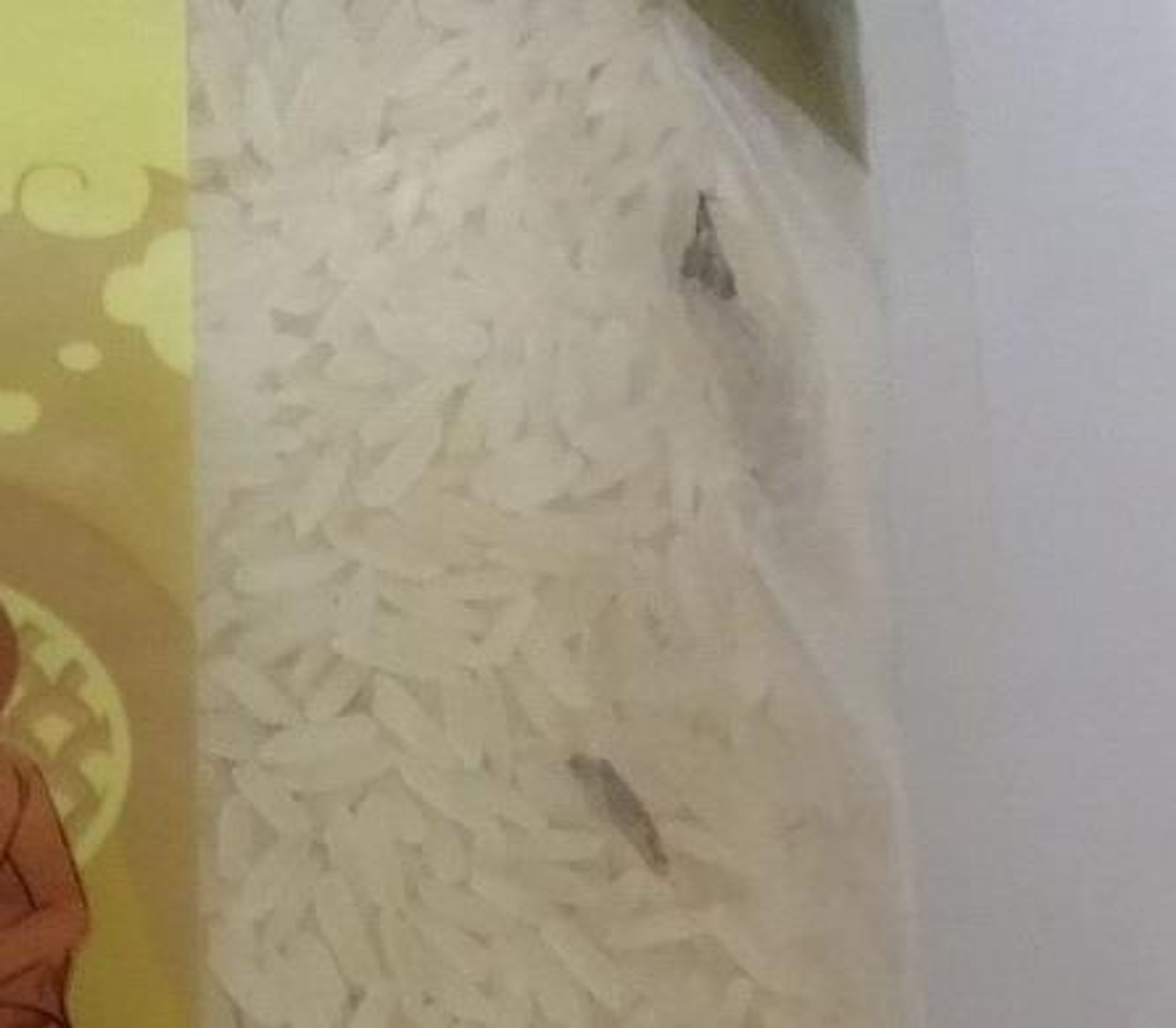 Thai Jasmine Rice 100% - Thi Dinh Luu Litoměřice - Pokratice - GALERIE: Nebezpečné potraviny v říjnu a listopadu 1 (16/40)