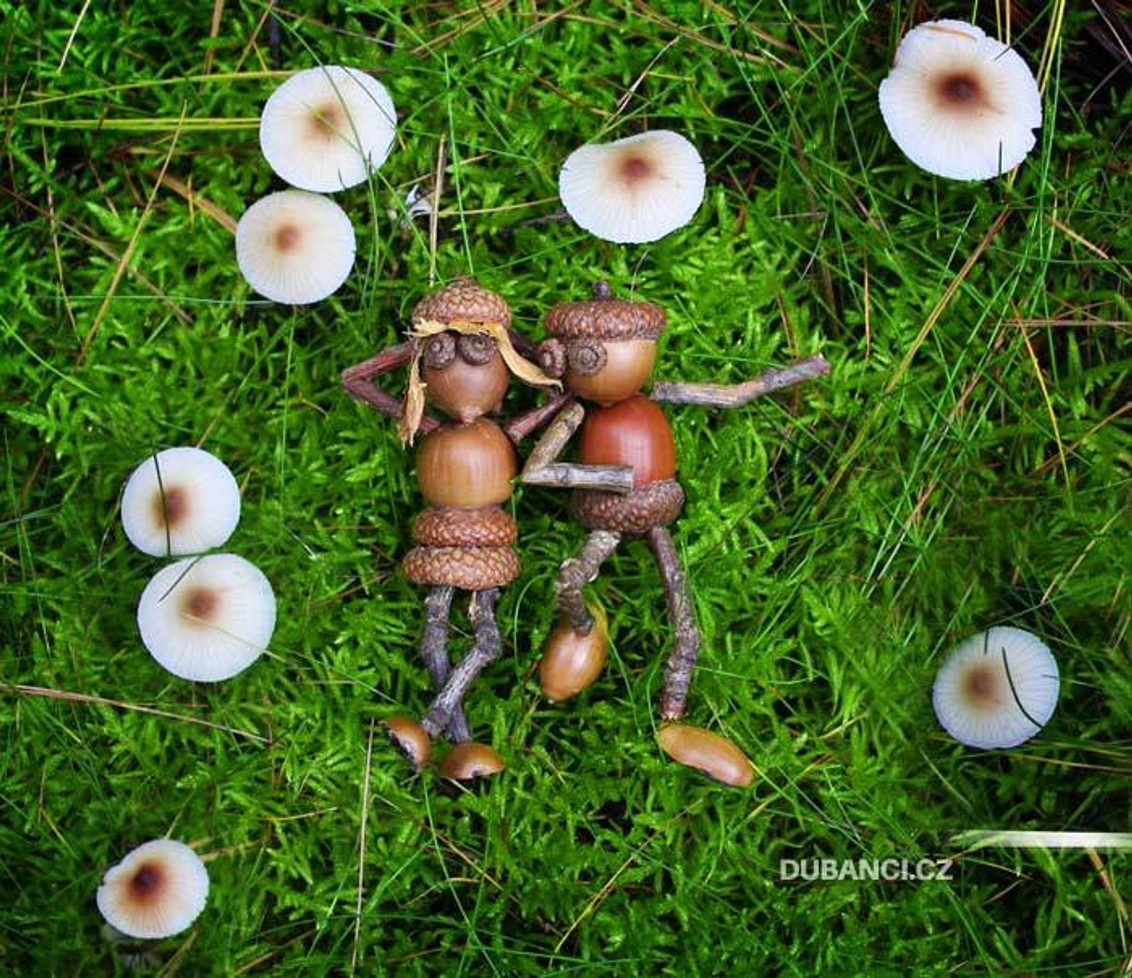 Dubánci - 14 - GALERIE: Dubánci (5/15)
