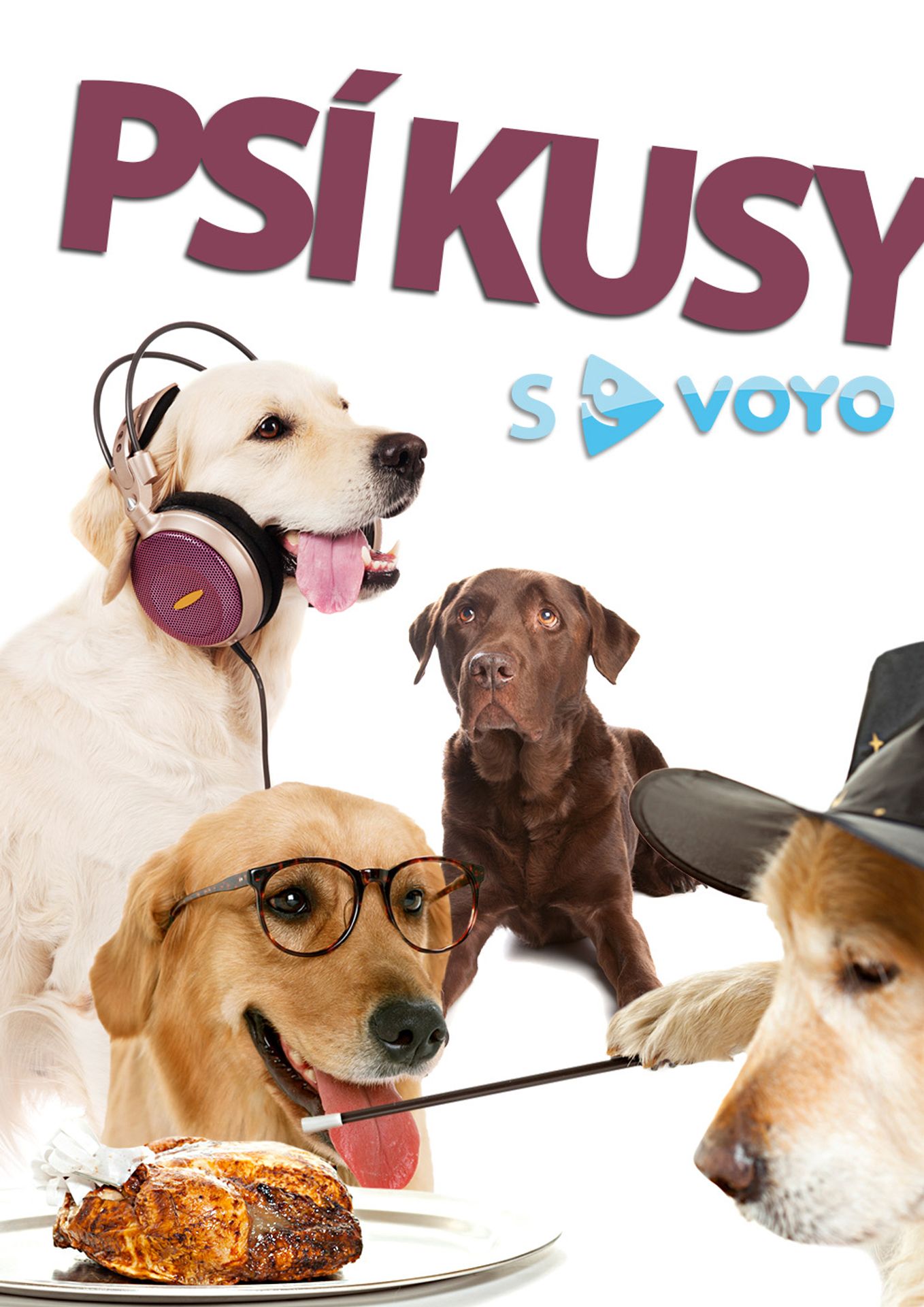 Psí kusy 2 - GALERIE: Jak chodí oblékaná první dáma Ivana Zemanová (1/10)