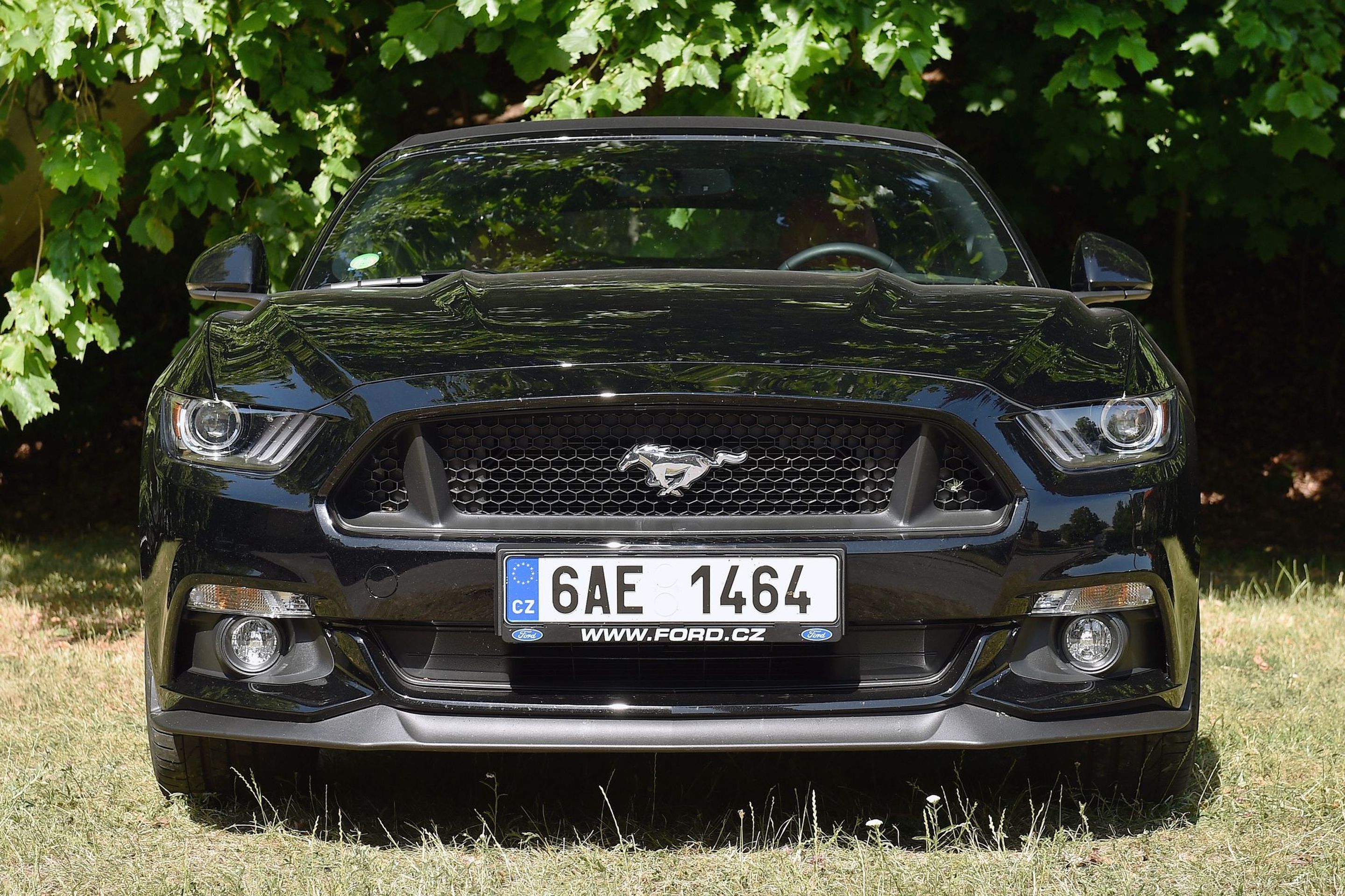 Ford Mustang 5.0 V8 GT Convertible - 1 - GALERIE: Ford Mustang GT Convertible (9/13)