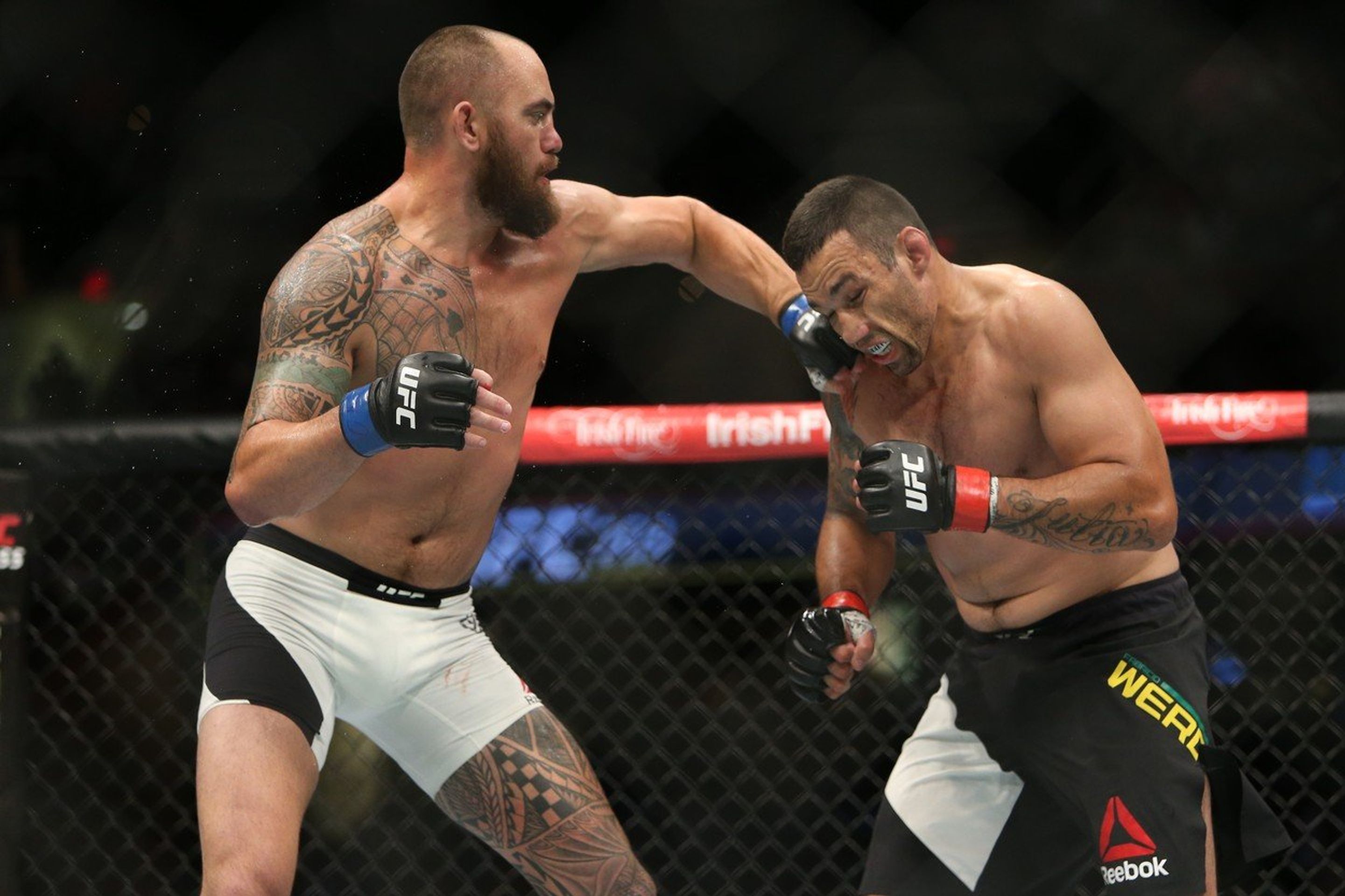 Fabricio Werdum - GALERIE: Legendární UFC zápasník Fabricio Werdum (3/4)