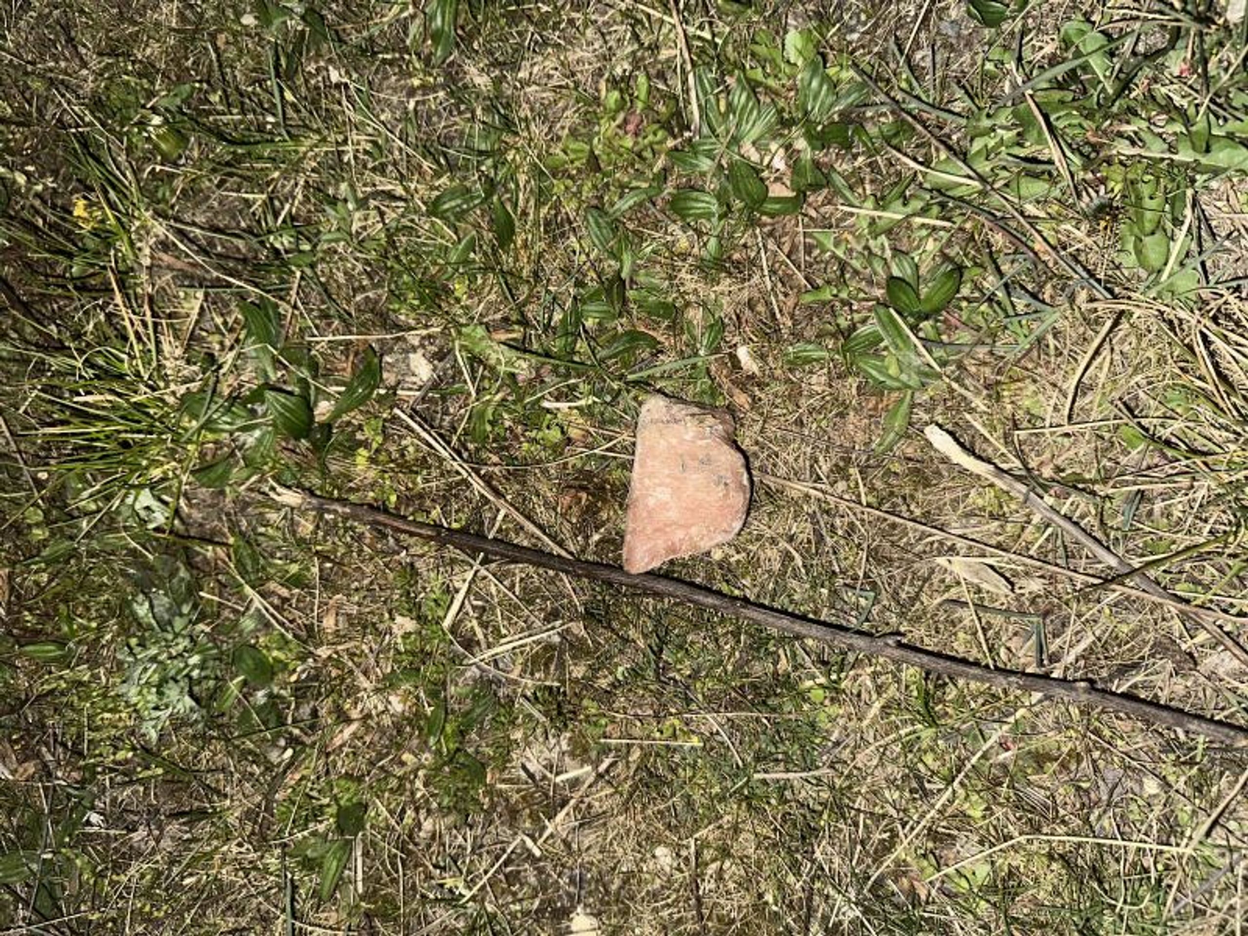 Kusy masa s hřebíky u Libeňského mostu - Kusy masa s hřebíky u Libeňského mostu (2/3)