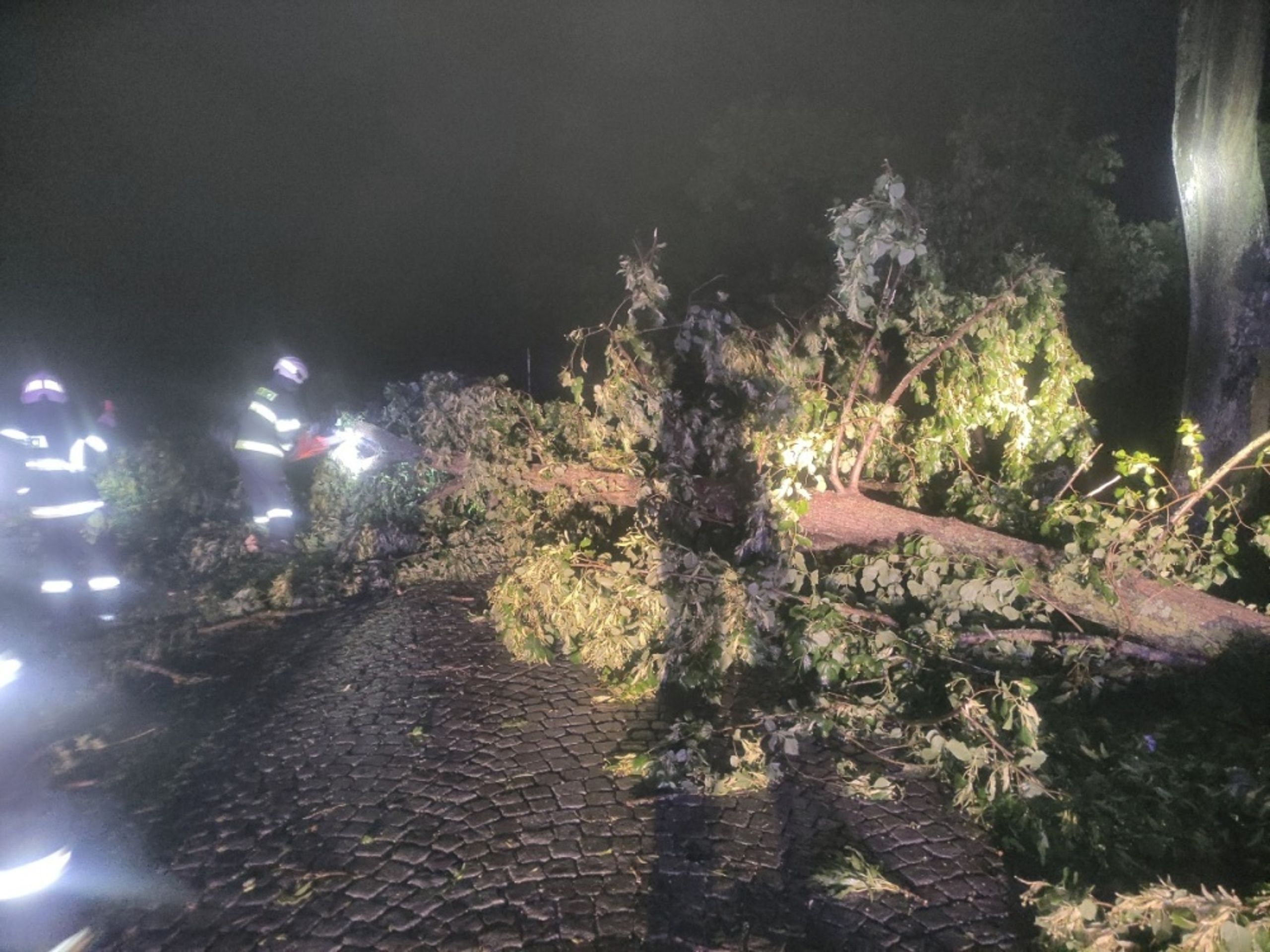 Hasiči likvidovali popadané stromy na Královéhradecku - 2 - GALERIE: Silné bouřky se prohnaly Českem (29/35)
