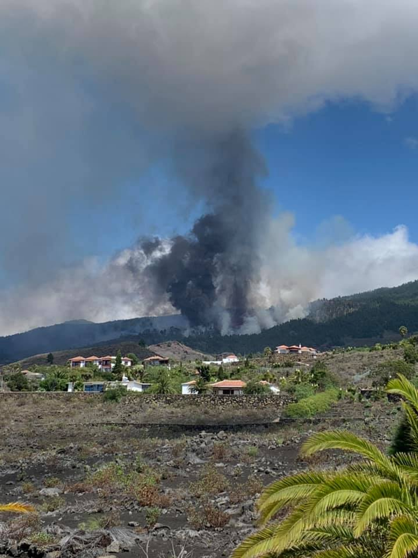 Erupce vulkánu na Kanárských ostrovech (5) - Erupce vulkánu na Kanárských ostrovech (5/7)