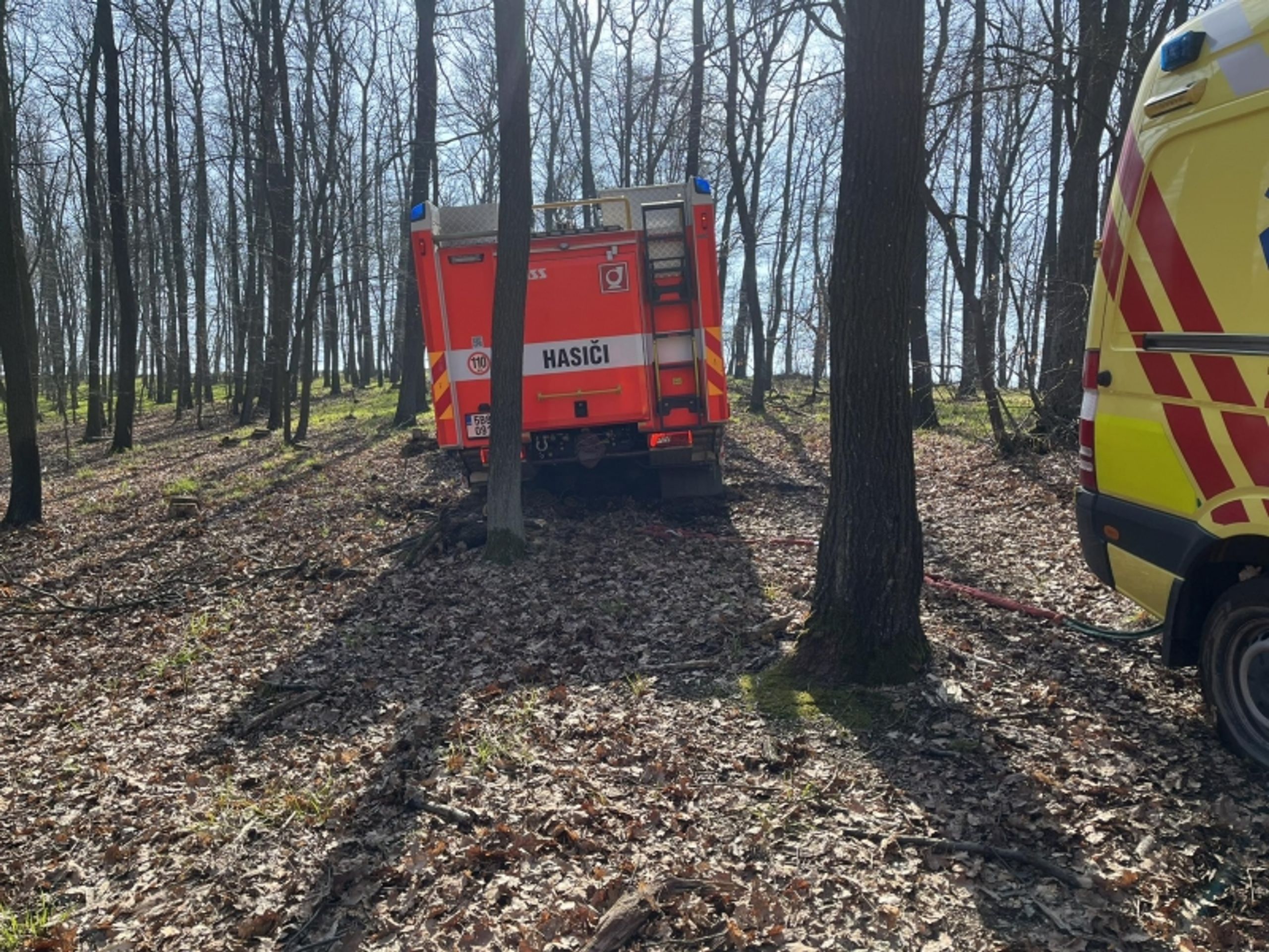 Na mladého muže spadl strom (4) - Na mladého muže spadl strom (1/4)