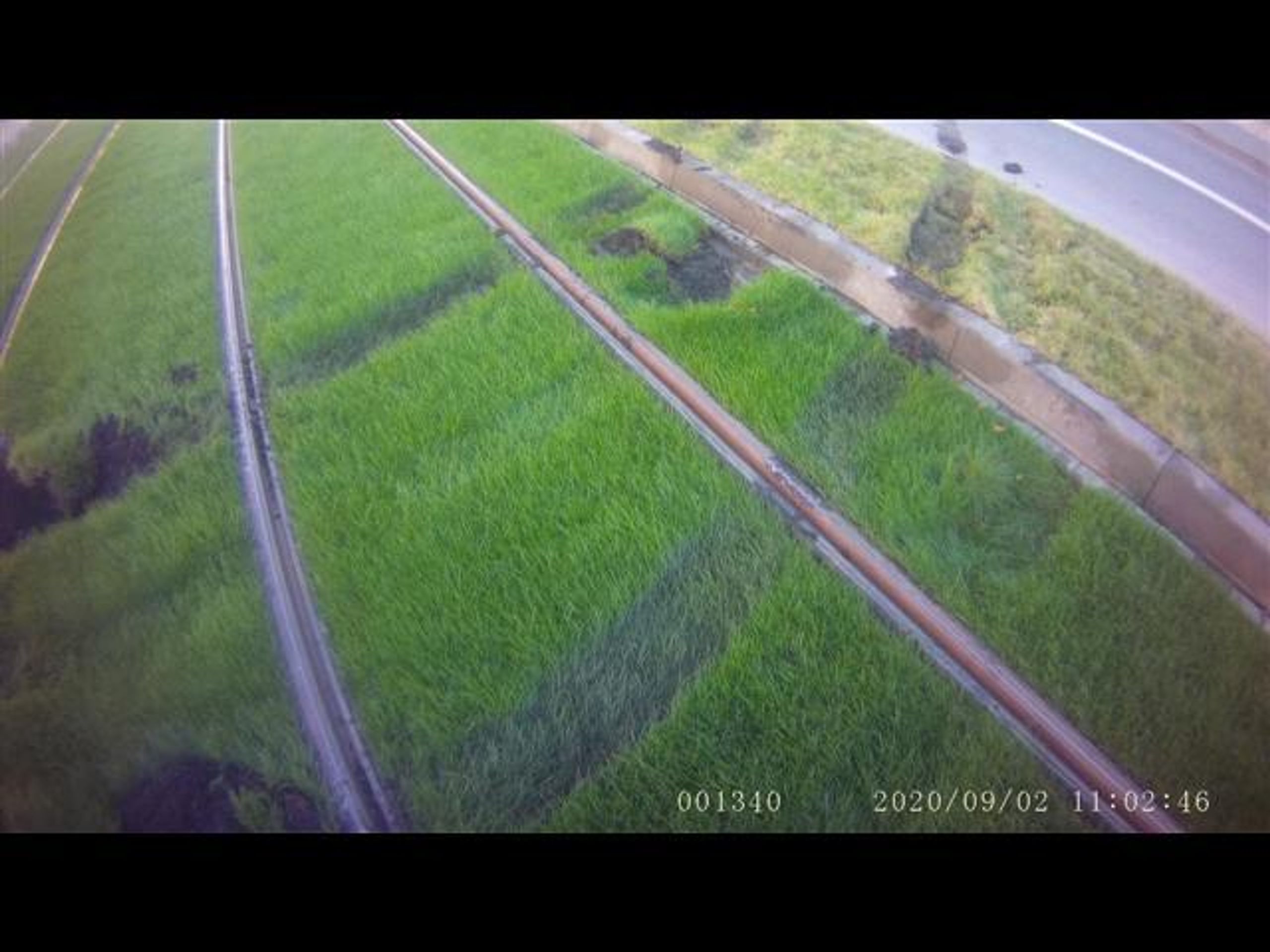 Nové sady - poškozený travnatý pás - 4 - GALERIE: Nové sady - poškozený travnatý pás (4/10)