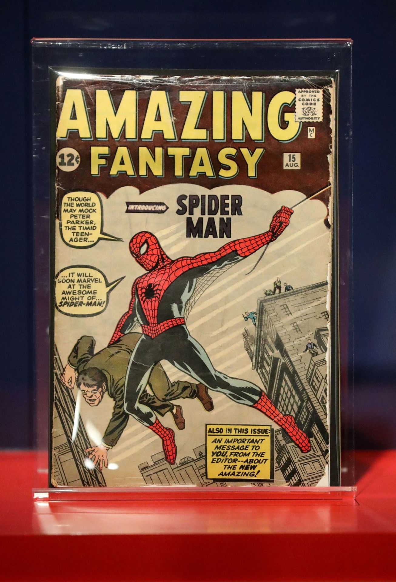Komiks Amazing Fantasy č. 15 - Cenné sběratelské předměty (16/26)