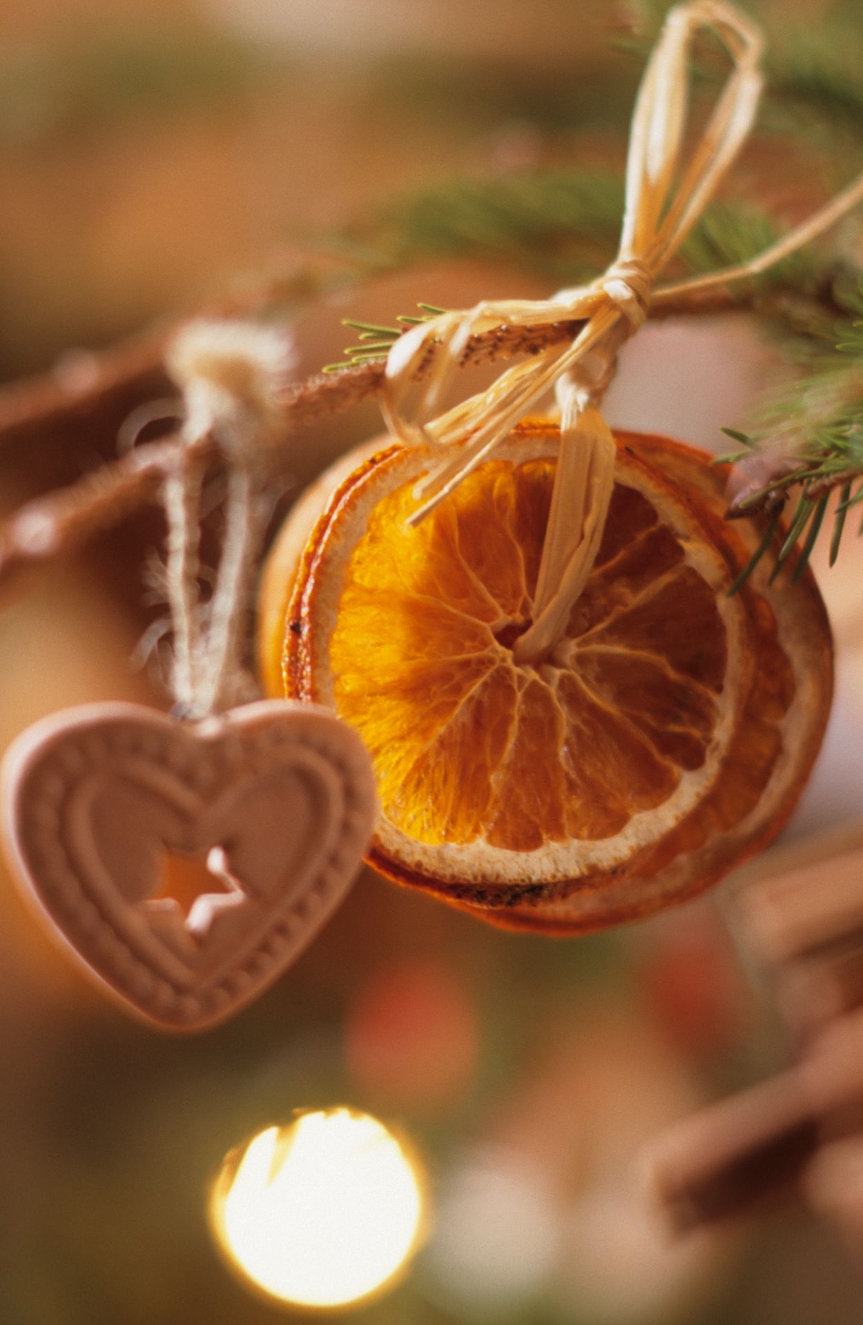 Vánoční dekorace z citrusů - 14 - GALERIE: Vánoční dekorace z citrusů (14/22)