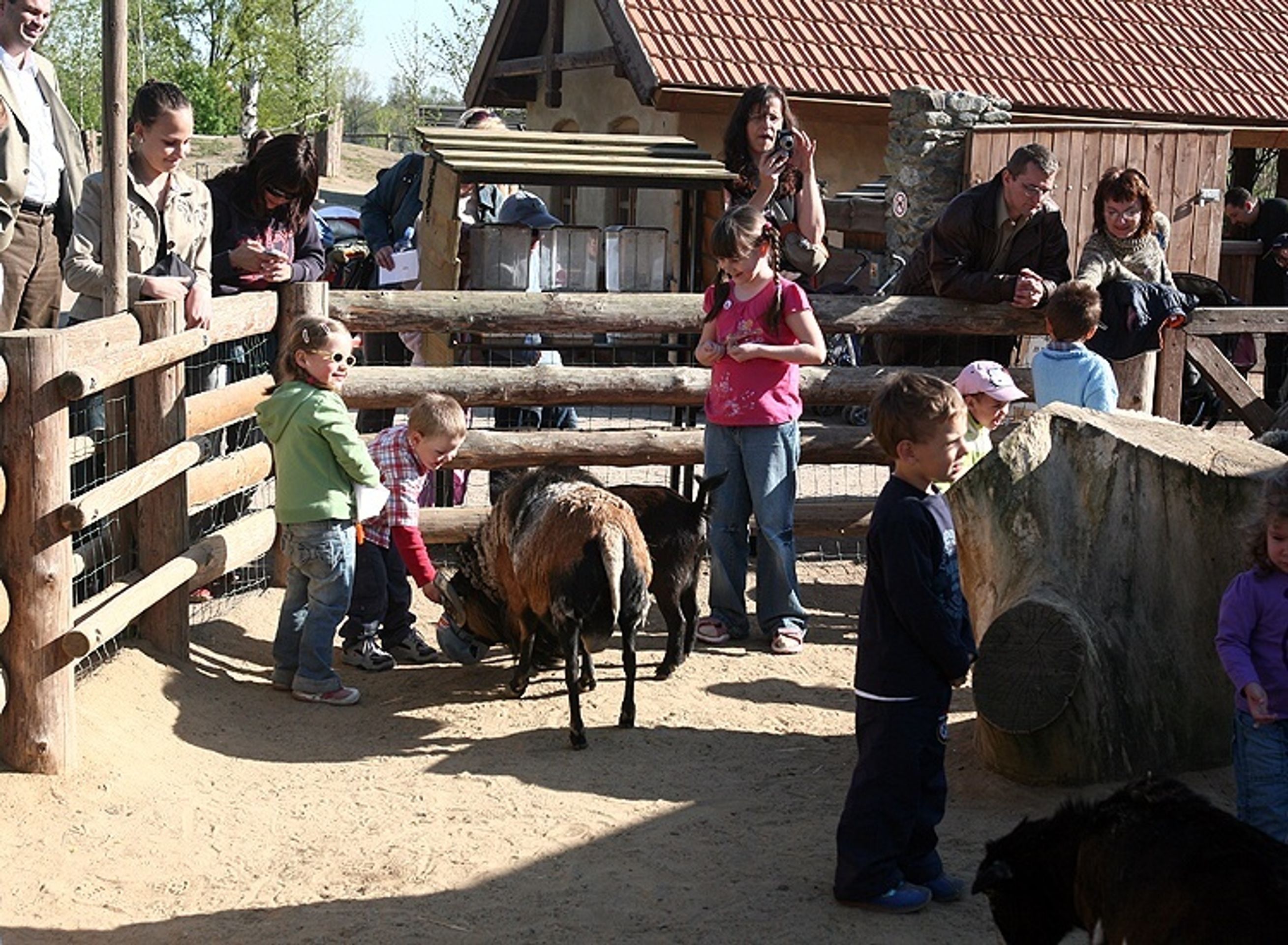 Novohraní 2007 - Novohraní v Zoo očima fotografa (17/20)