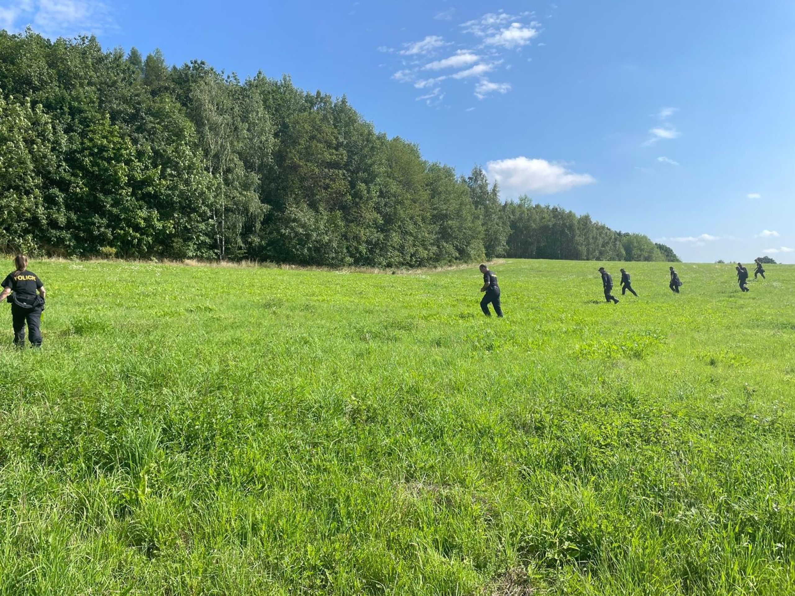 Pátrání po ztraceném houbaři - Pátrání po ztraceném houbaři (2/3)