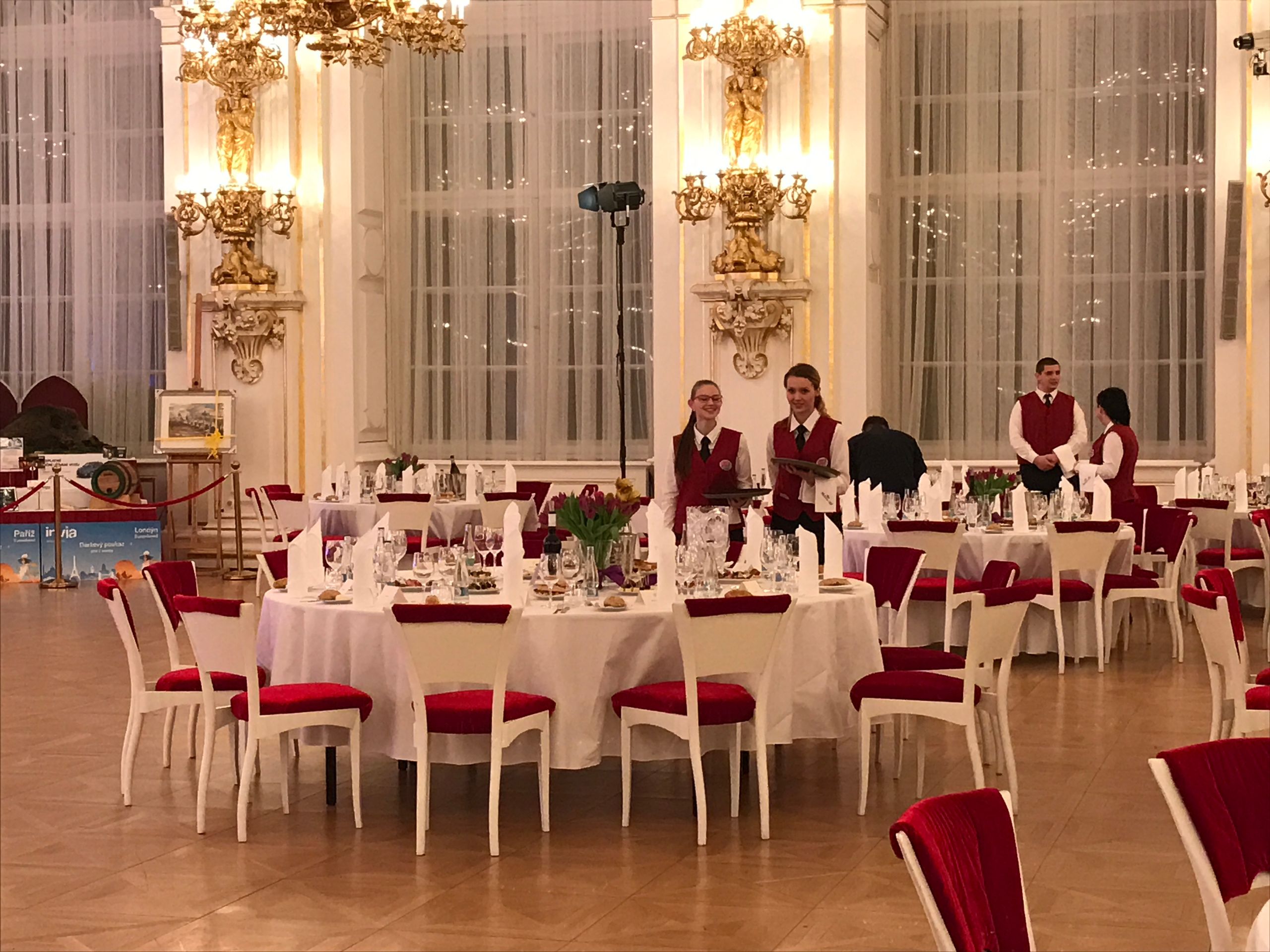 Reprezentační ples prezidenta ČR - 1 - Galerie: Reprezentační ples prezidenta ČR (1/6)