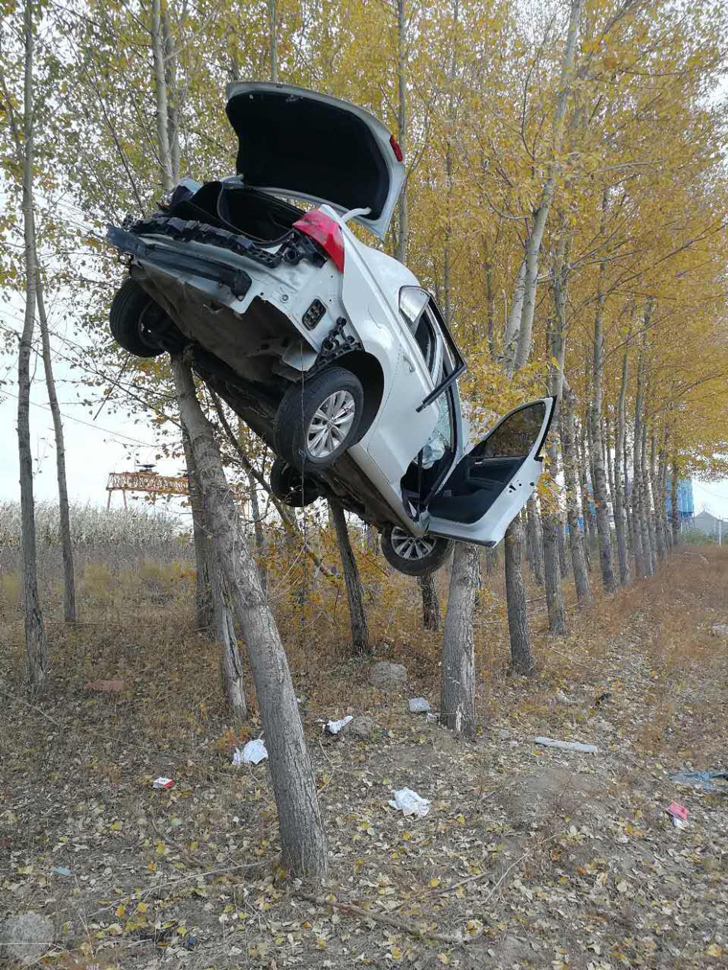 Nehoda - 8 - FOTOGALERIE: Auto zaklíněné ve stromech (3/4)