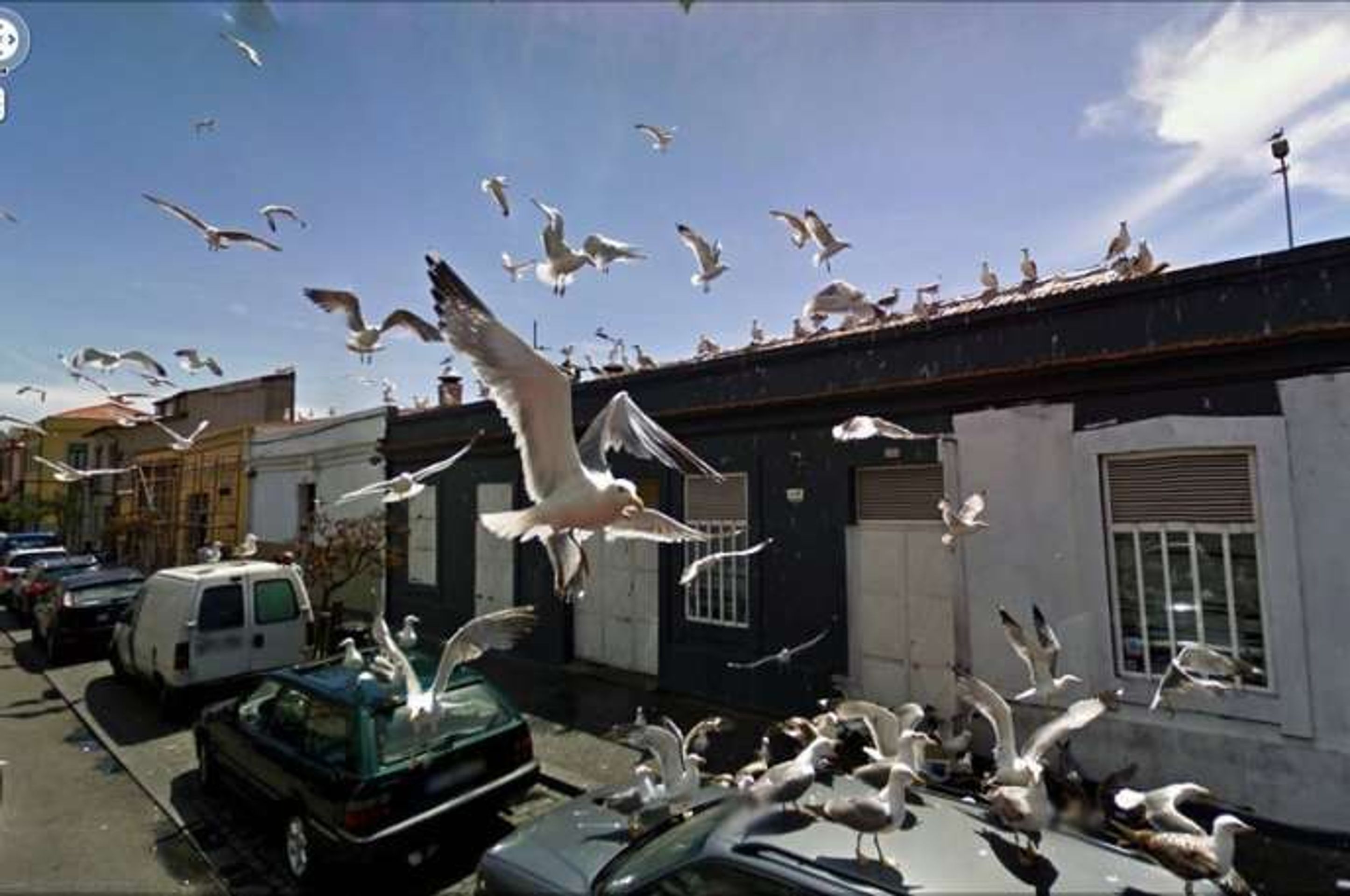 Obrázky google street view - 4 - GALERIE: Obrázky z Google Street View (26/29)