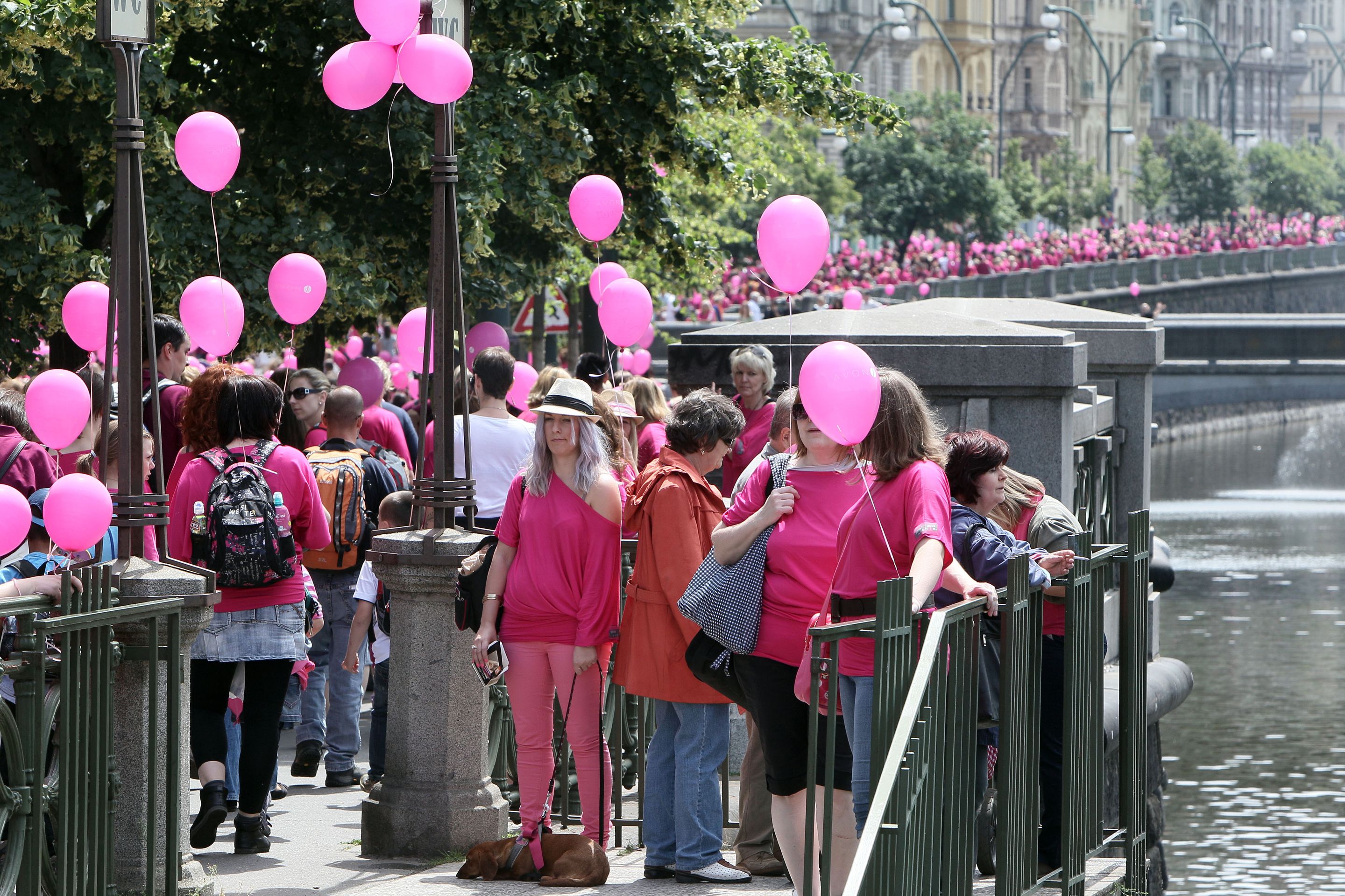 pochod proti rakovině prsu - 1 - Pochod proti rakovině prsu (5/6)