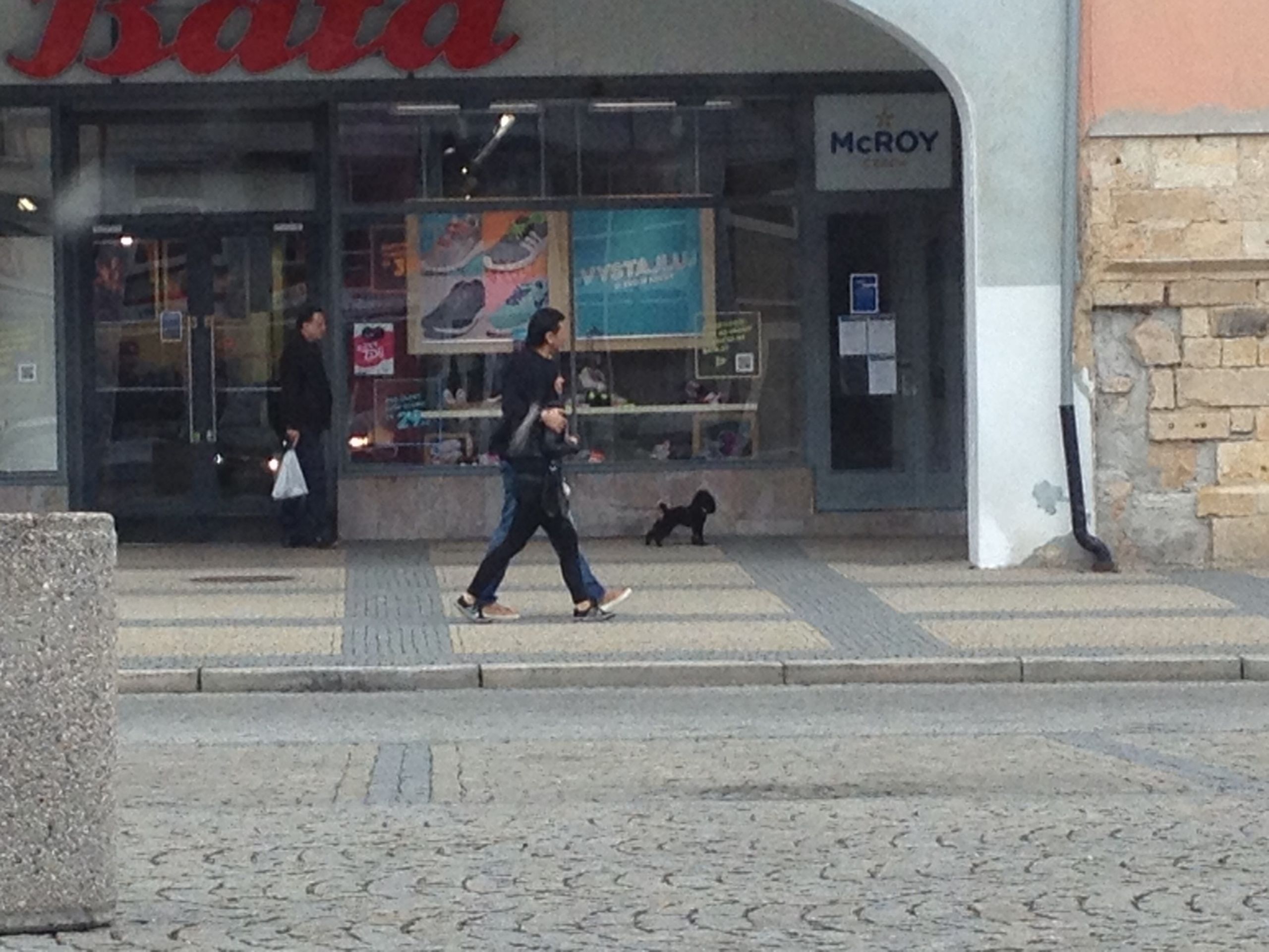 Růžička na procházce se svou novou láskou - 6 - GALERIE: Růžička na procházce se svou novou láskou (2/7)