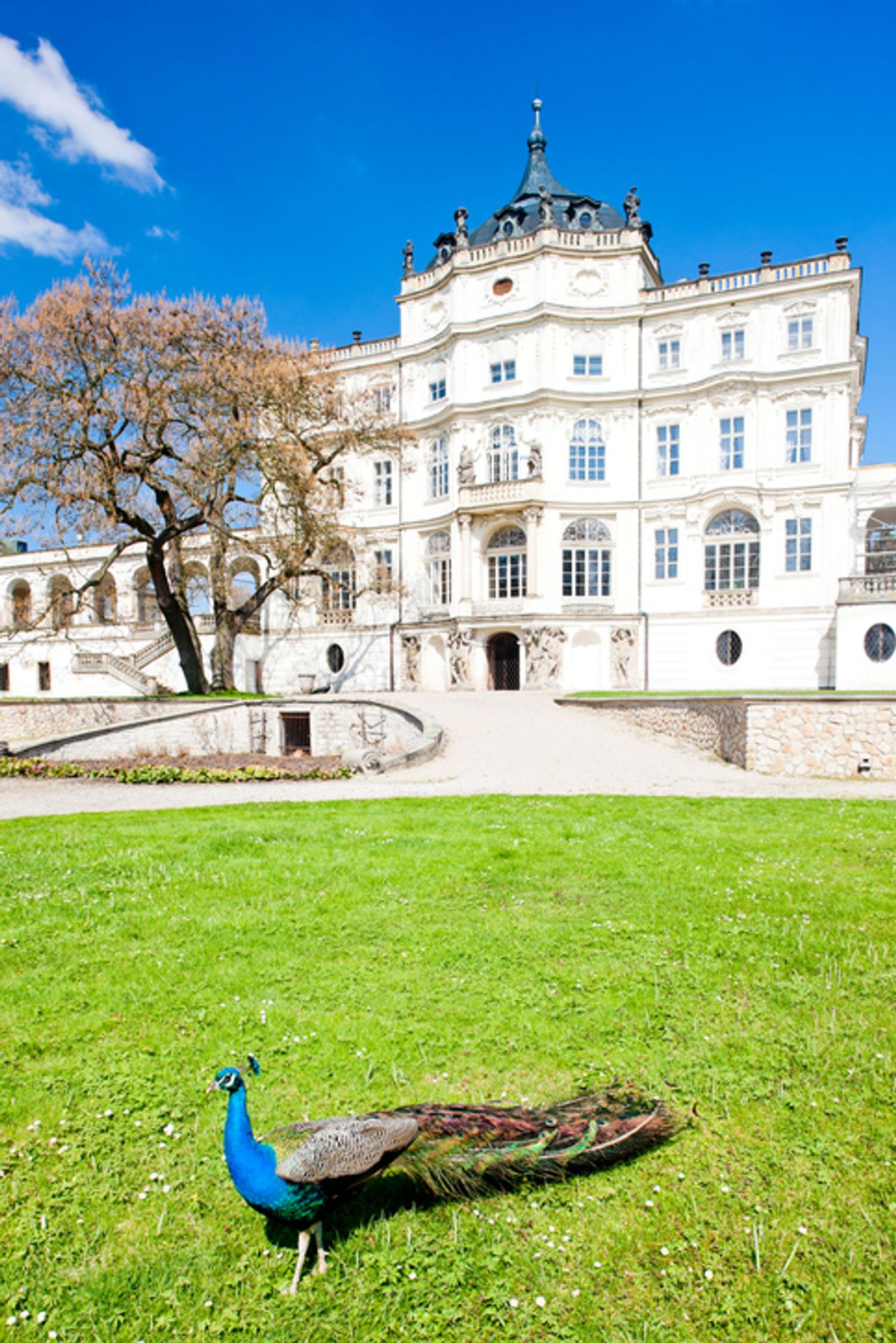 Ústecký kraj - zámek Ploskovice - GALERIE: Hrady a zámky (9/17)