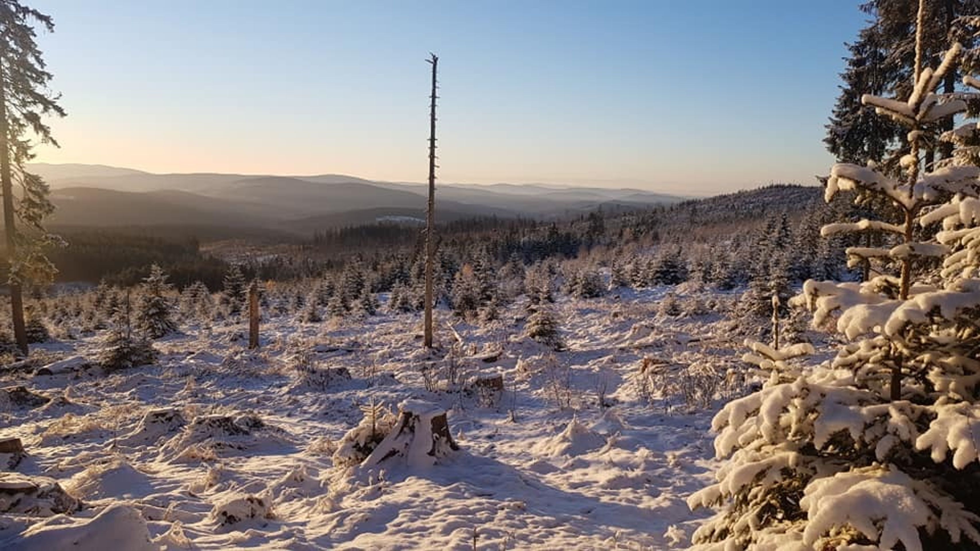 Mrazivé ráno na Šumavě - 2 - GALERIE: Na řadě míst v Česku napadl sníh (5/6)