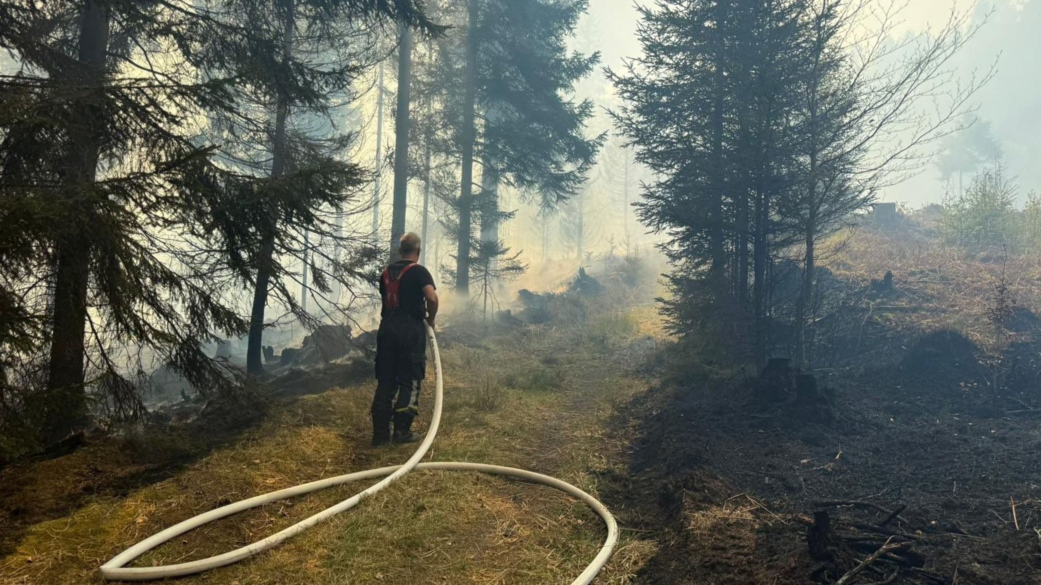Požár v Českém Švýcarsku - Boj hasičů s plameny v Českém Švýcarsku (30/49)