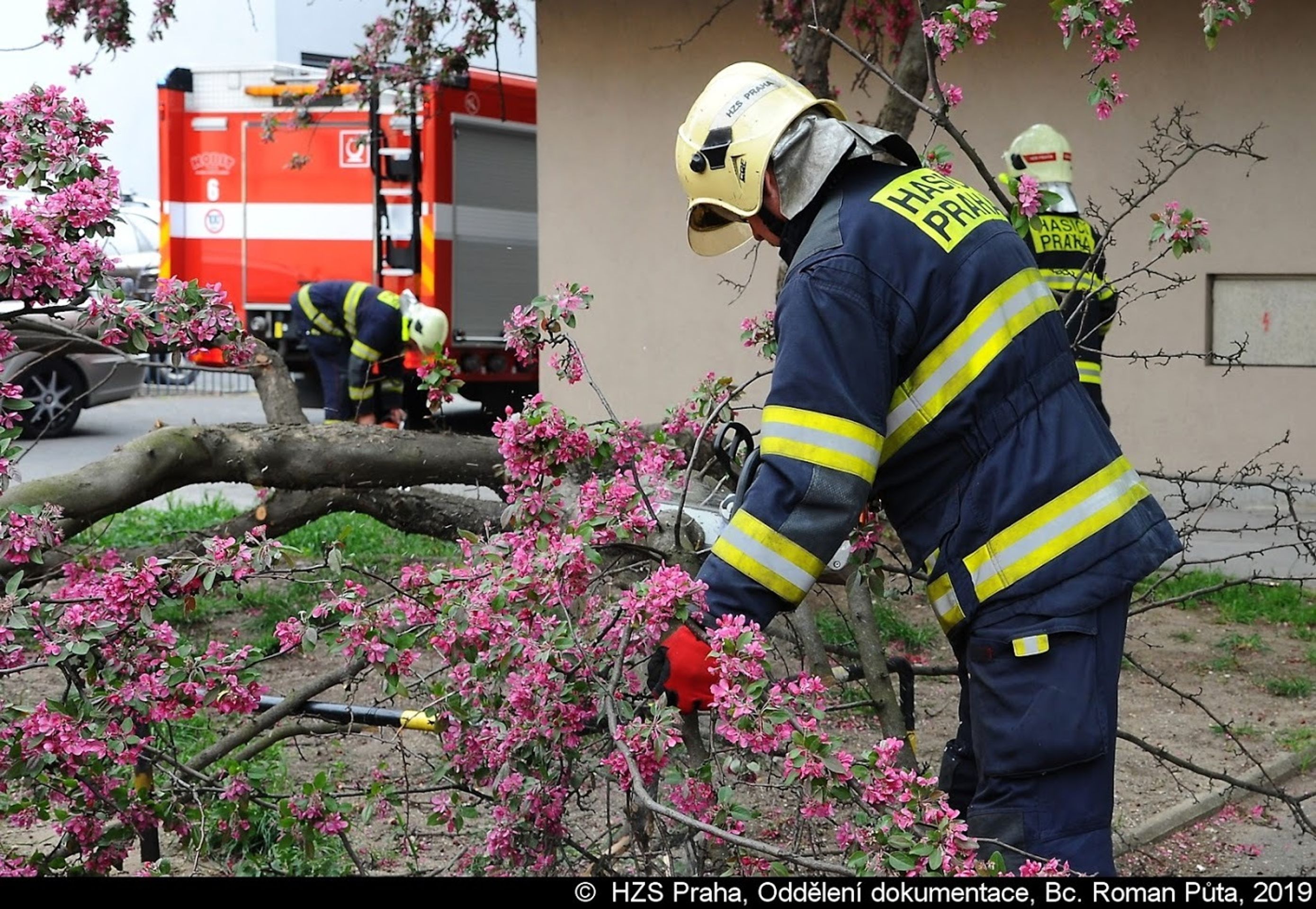 Spadlý strom v Praze na Nuselské - 5 - GALERIE: Spadlý strom na Nuselské ulici (3/7)