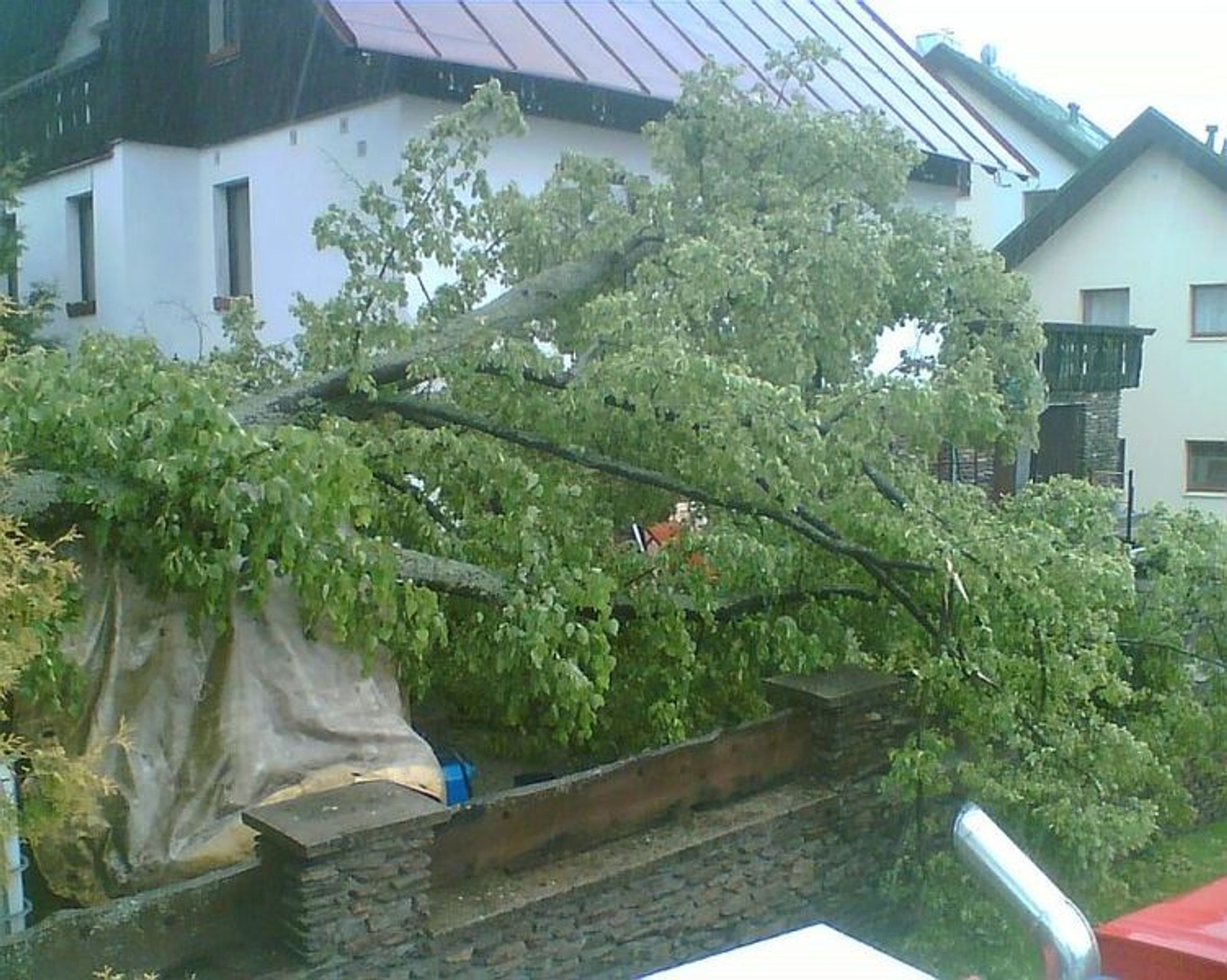 Vítr srazil strom na domek v Železné Rudě - GALERIE: Vichřice srazila strom na domek v Železné Rudě (3/5)