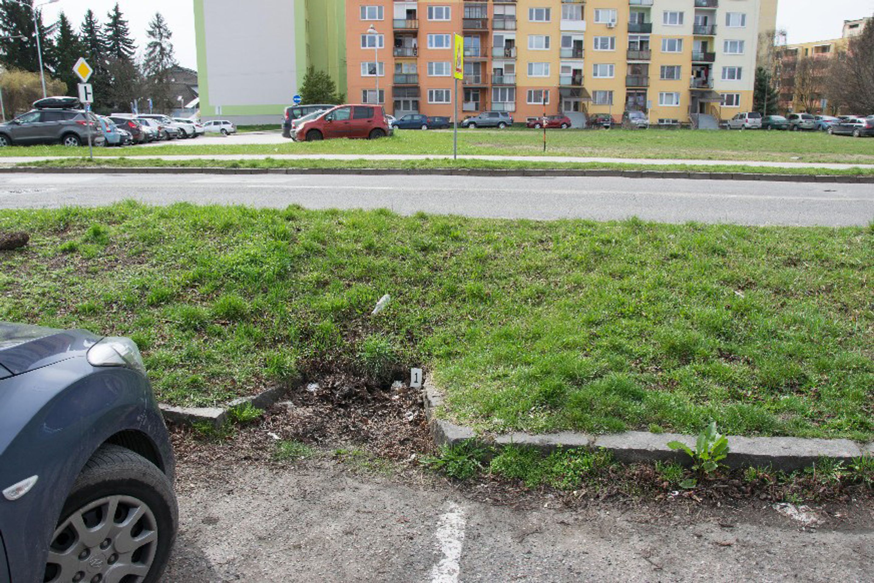 Nalezený poklad na slovenském sídlišti - 3 - GALERIE: Nalezený poklad na slovenském sídlišti (3/4)